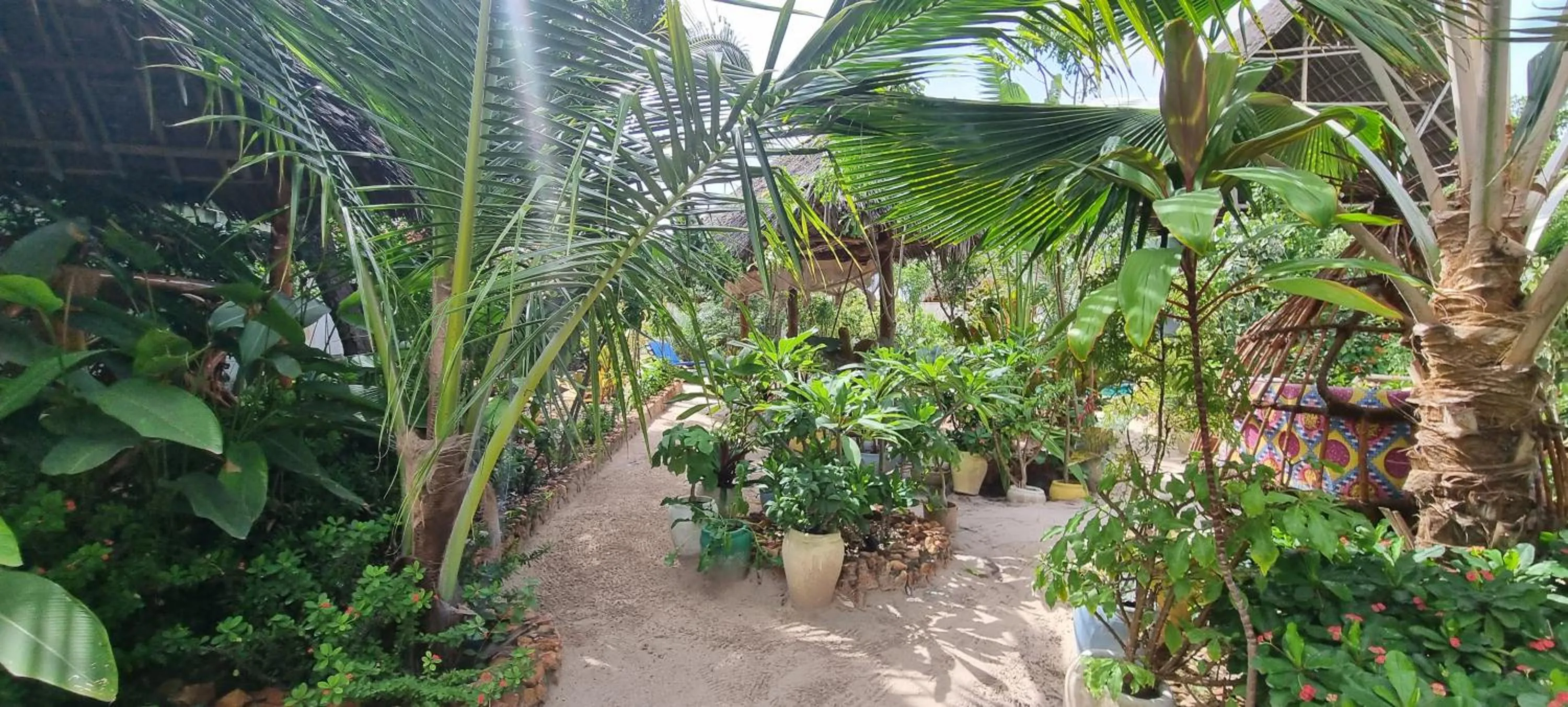 Garden in Salama & Mbuyuni Bungalows