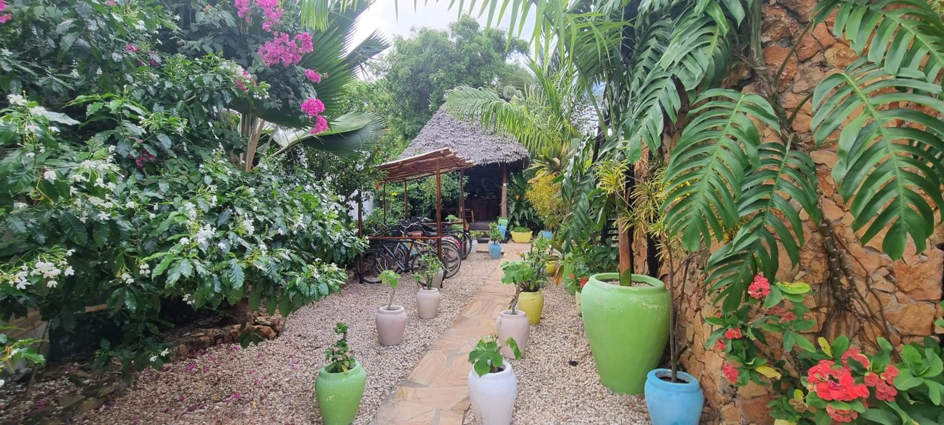 Garden in Salama & Mbuyuni Bungalows