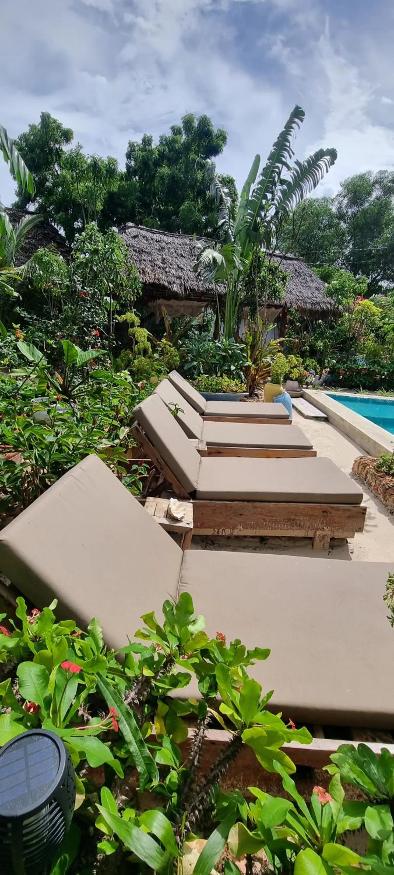 Swimming pool in Salama & Mbuyuni Bungalows