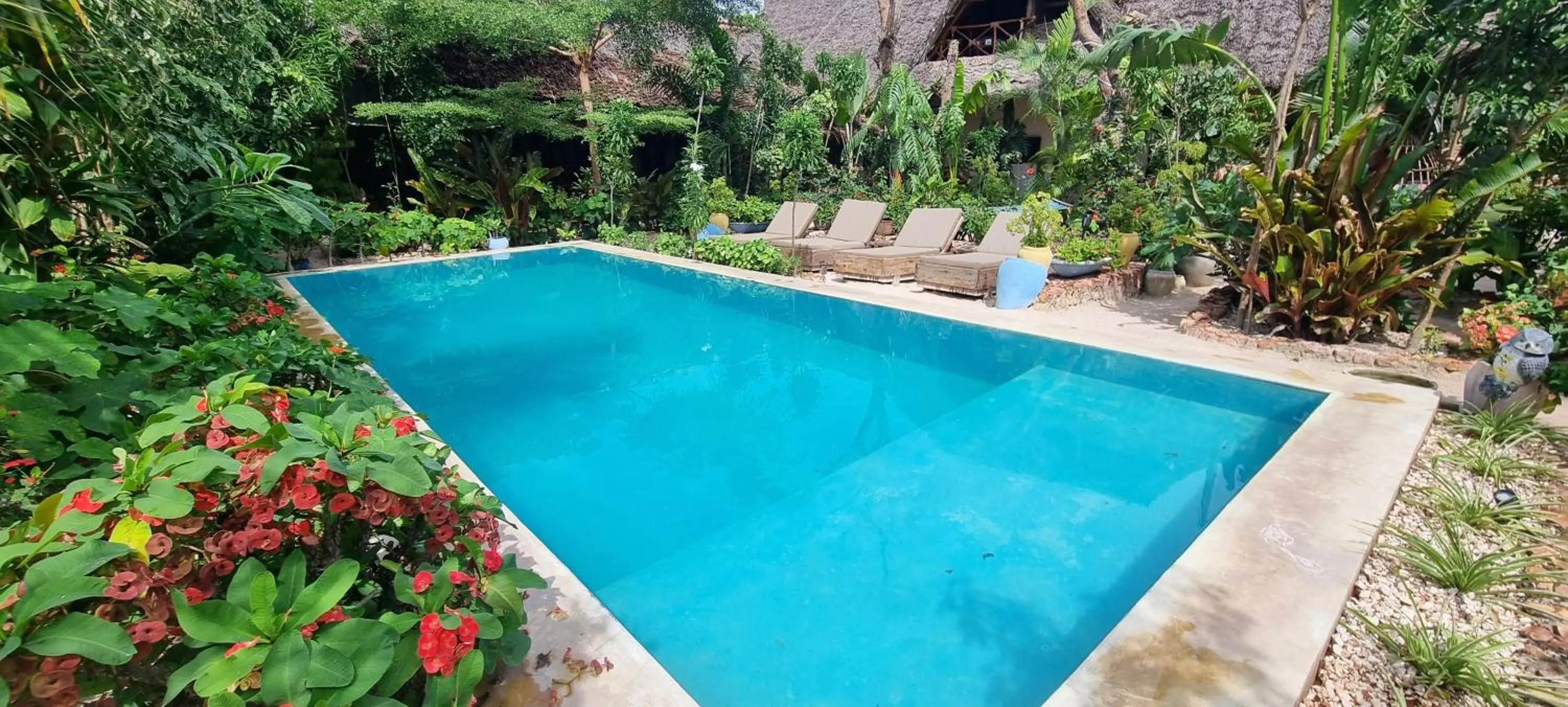 Garden in Salama & Mbuyuni Bungalows