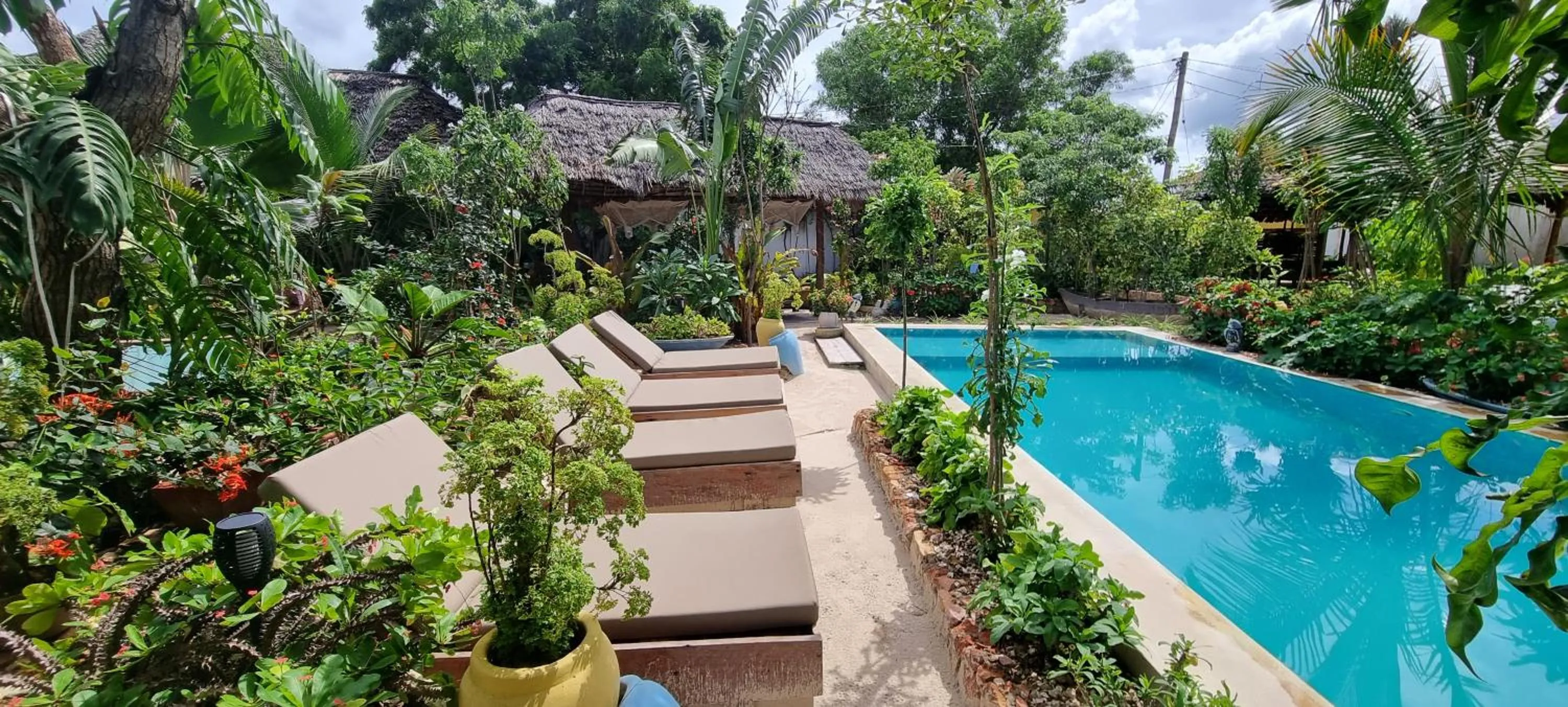 Garden in Salama & Mbuyuni Bungalows