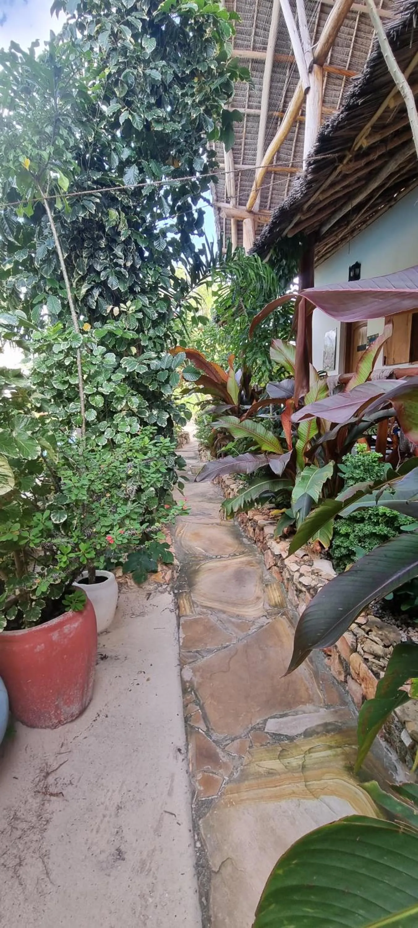 Garden in Salama & Mbuyuni Bungalows