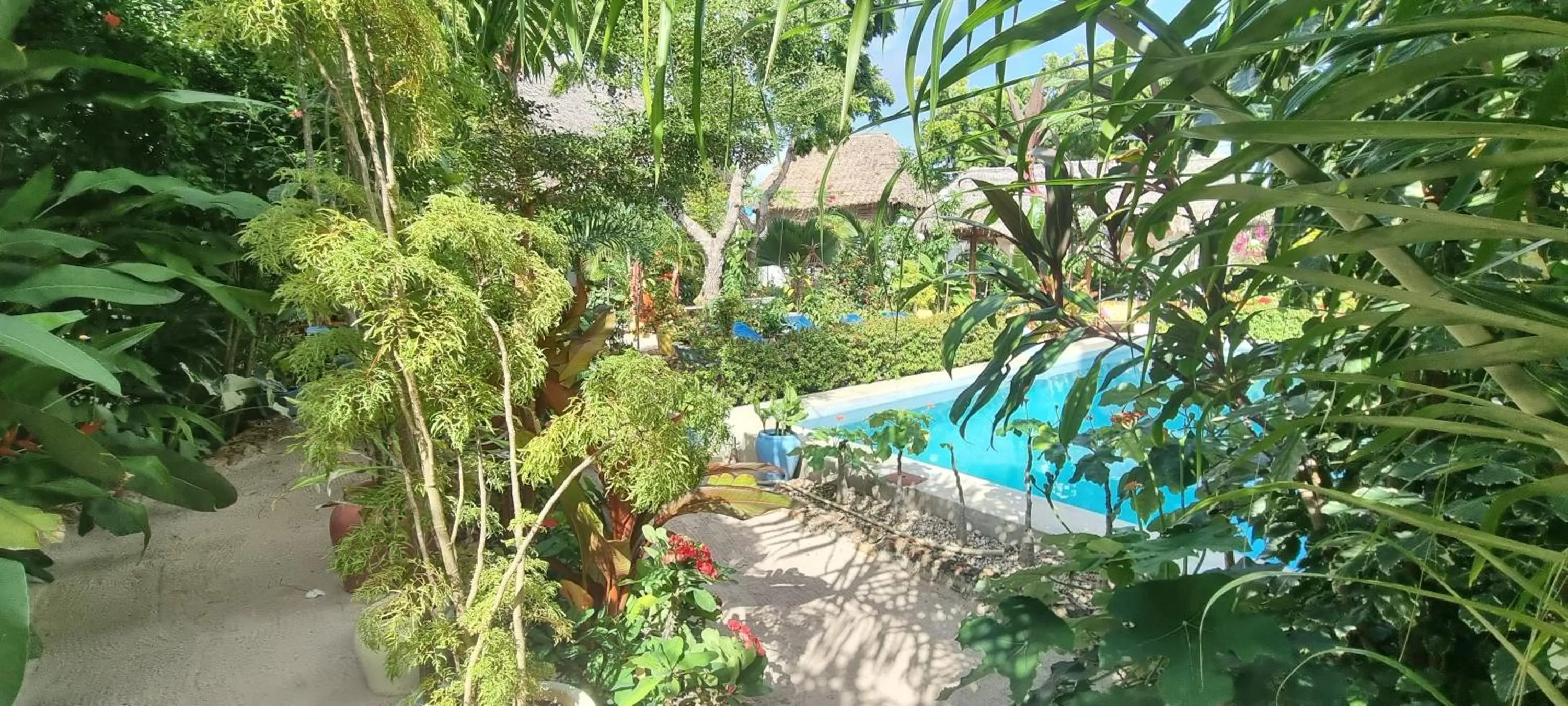 Garden in Salama & Mbuyuni Bungalows