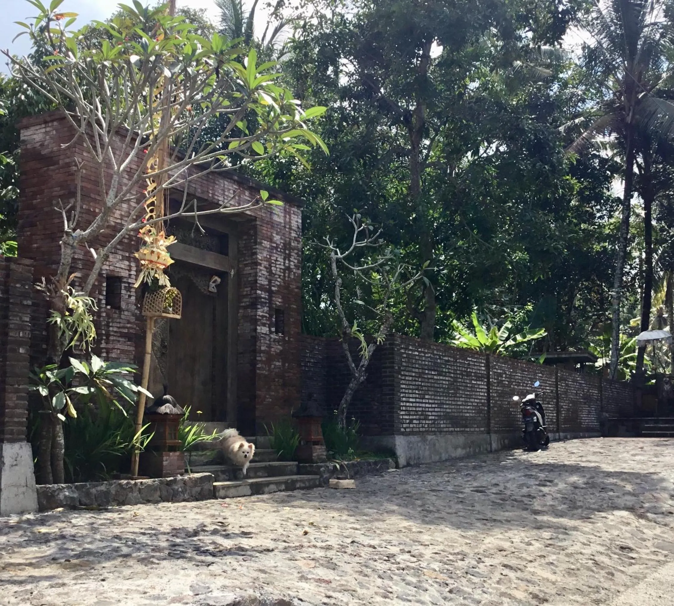 Facade/entrance in Alas Arum Ecolodge