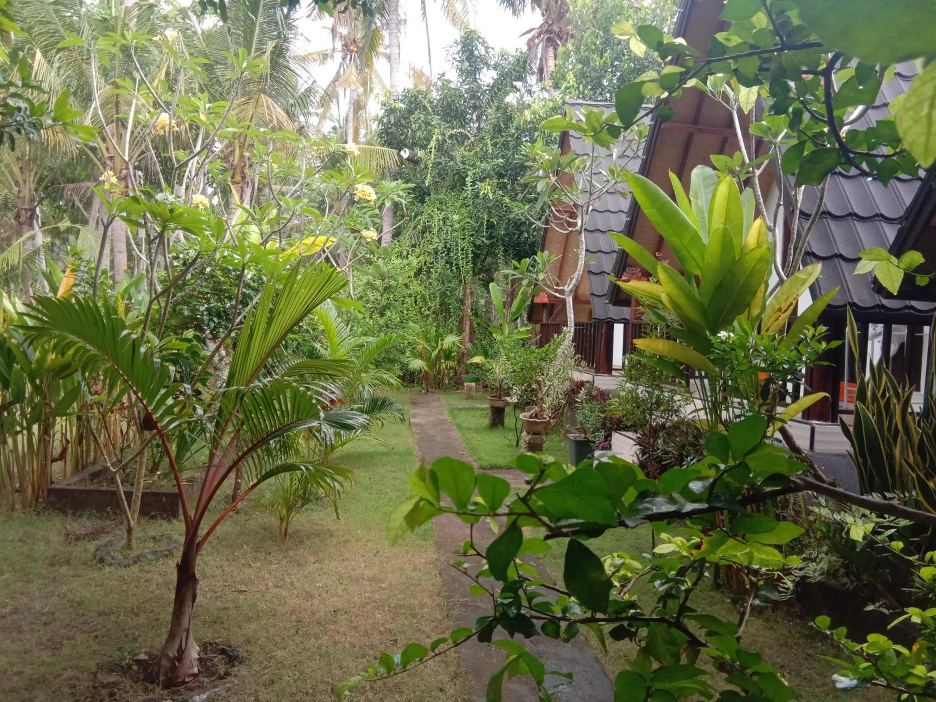 Garden in Jingga Home Penida