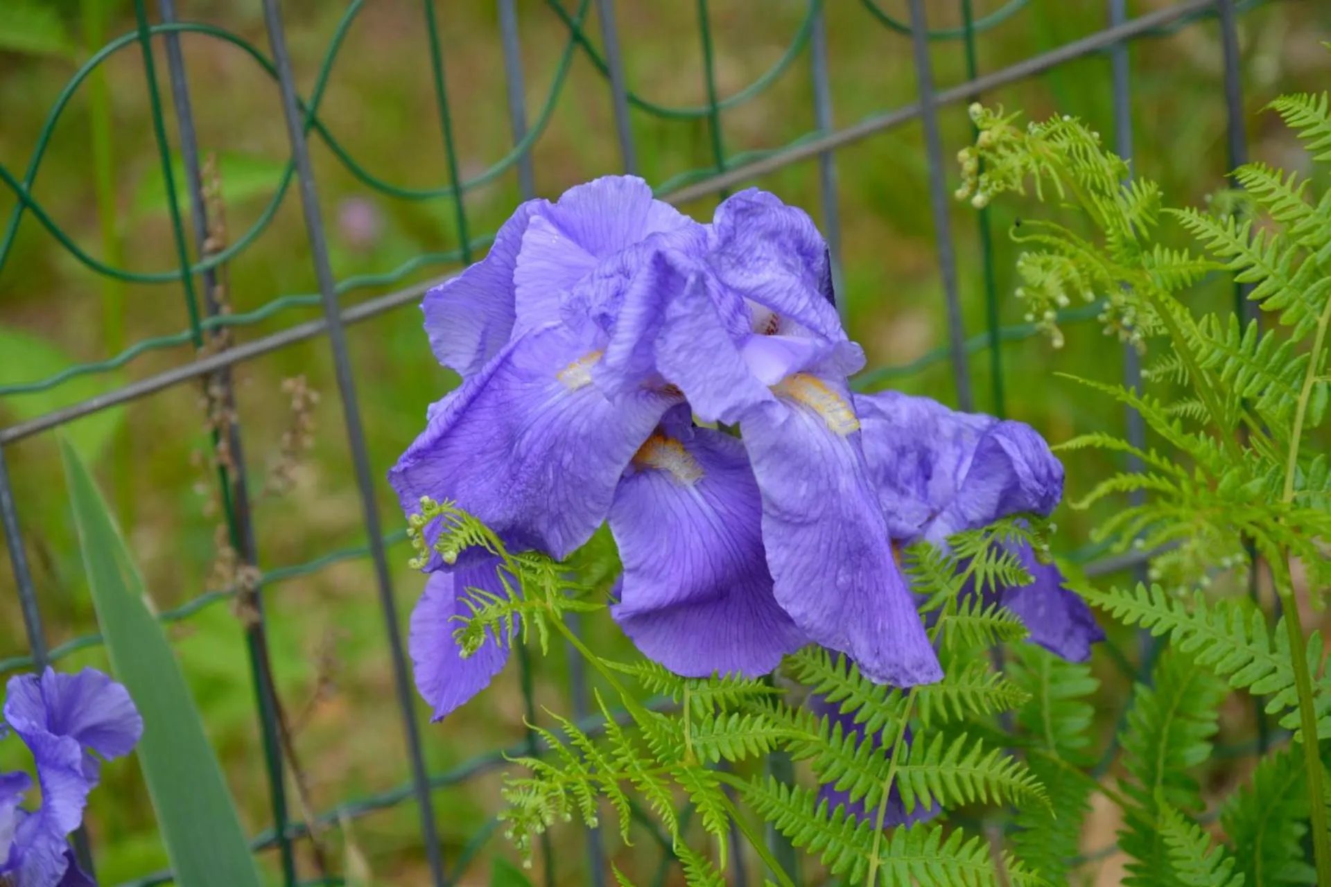Garden in Casa Omnia B&B