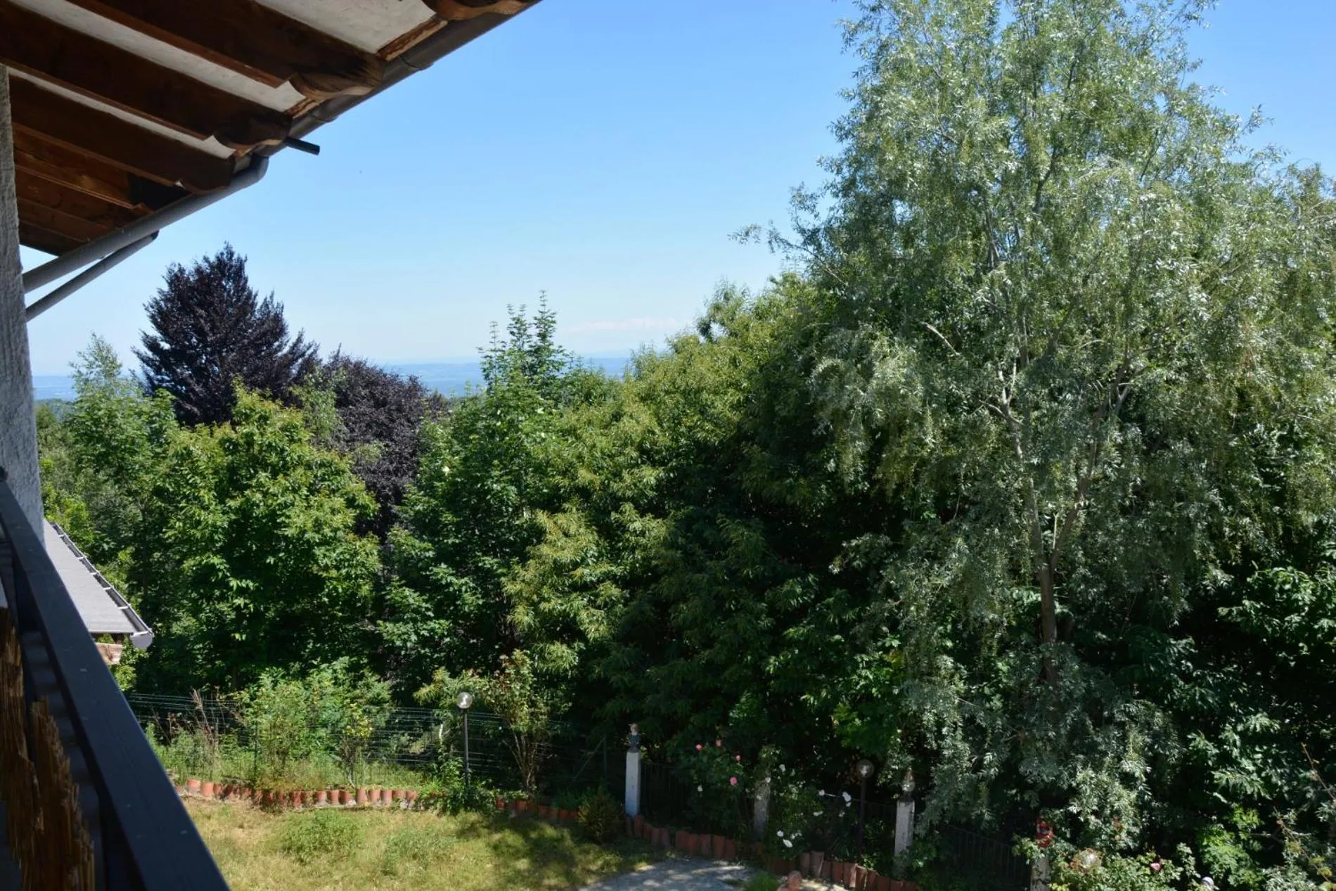 Garden in Casa Omnia B&B