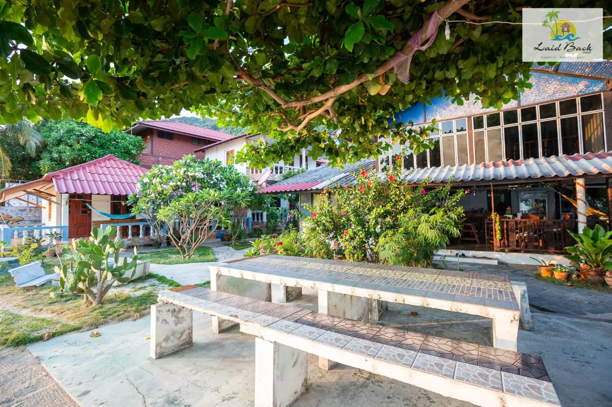 Laid Back Resort Laid Back Resort
