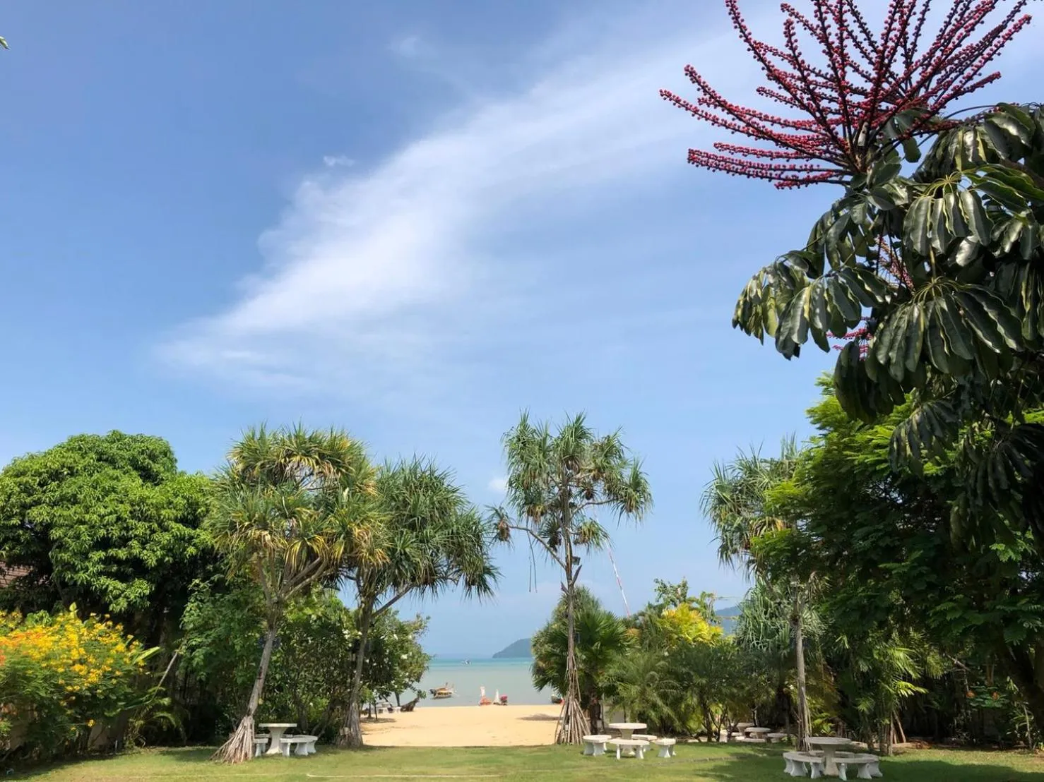 Natural landscape in Blue Beach Grand Resort And Spa