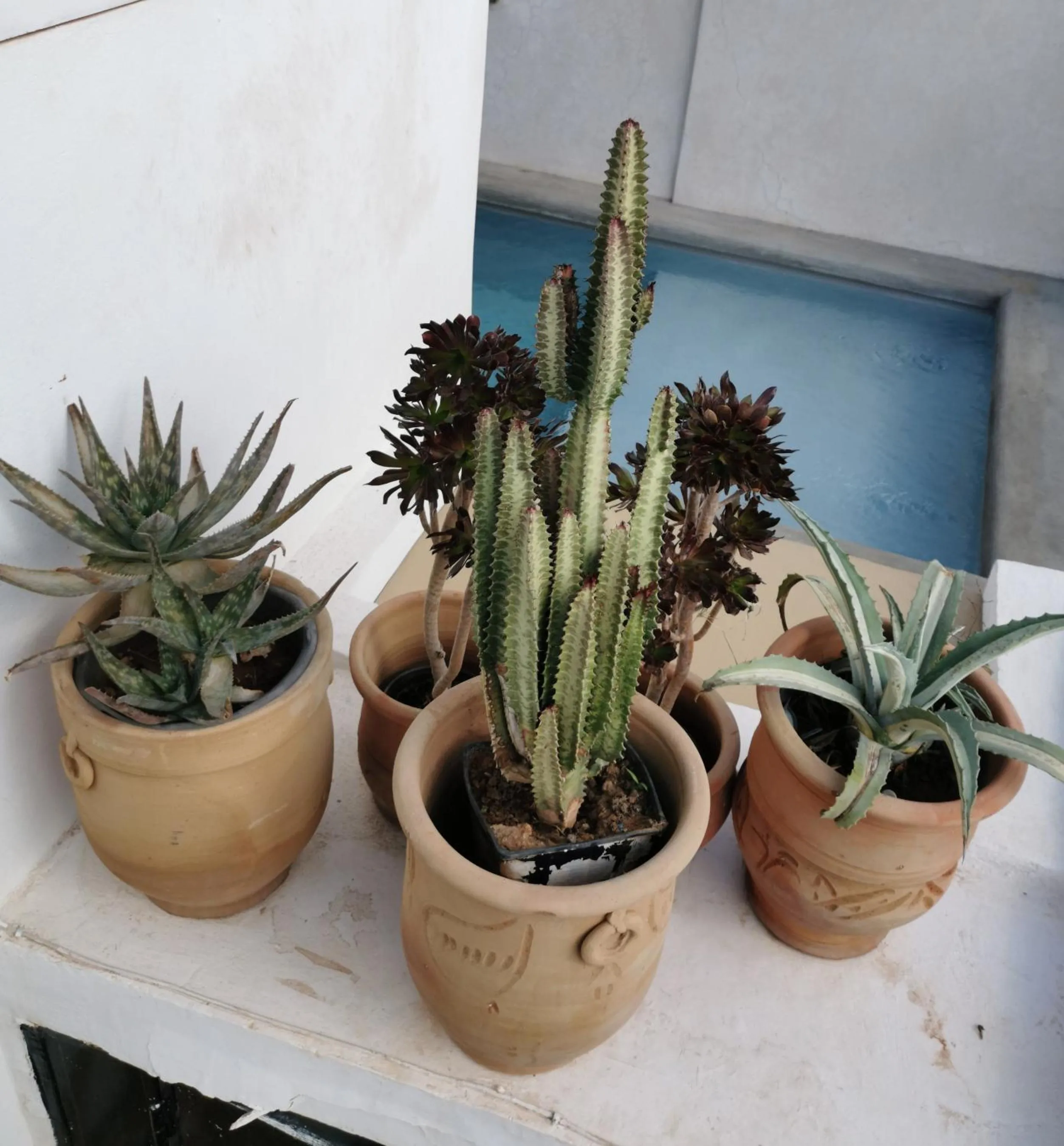 Balcony/Terrace in Riad Bab aylen - Piscine Roof Top chauffée