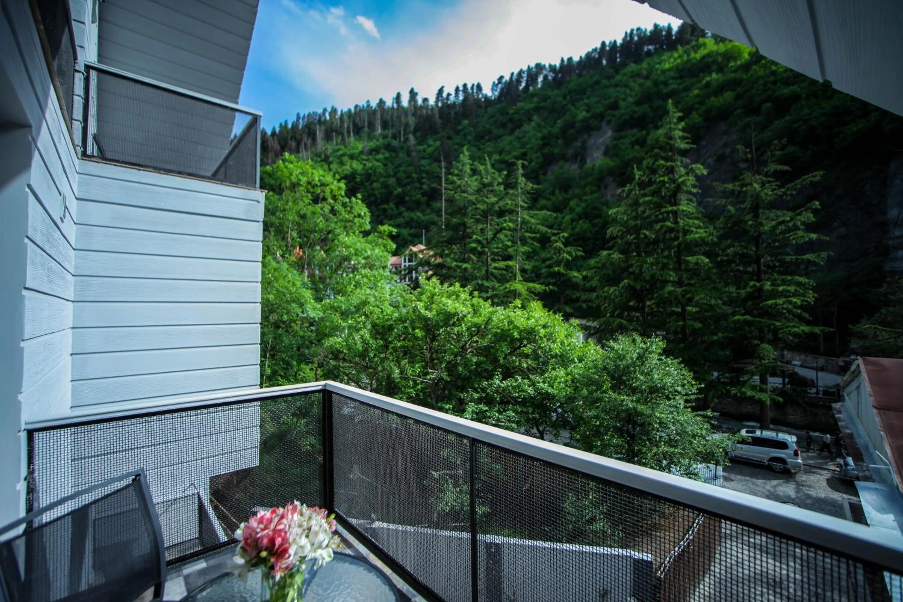 Mountain view in Borjomi UnderWood