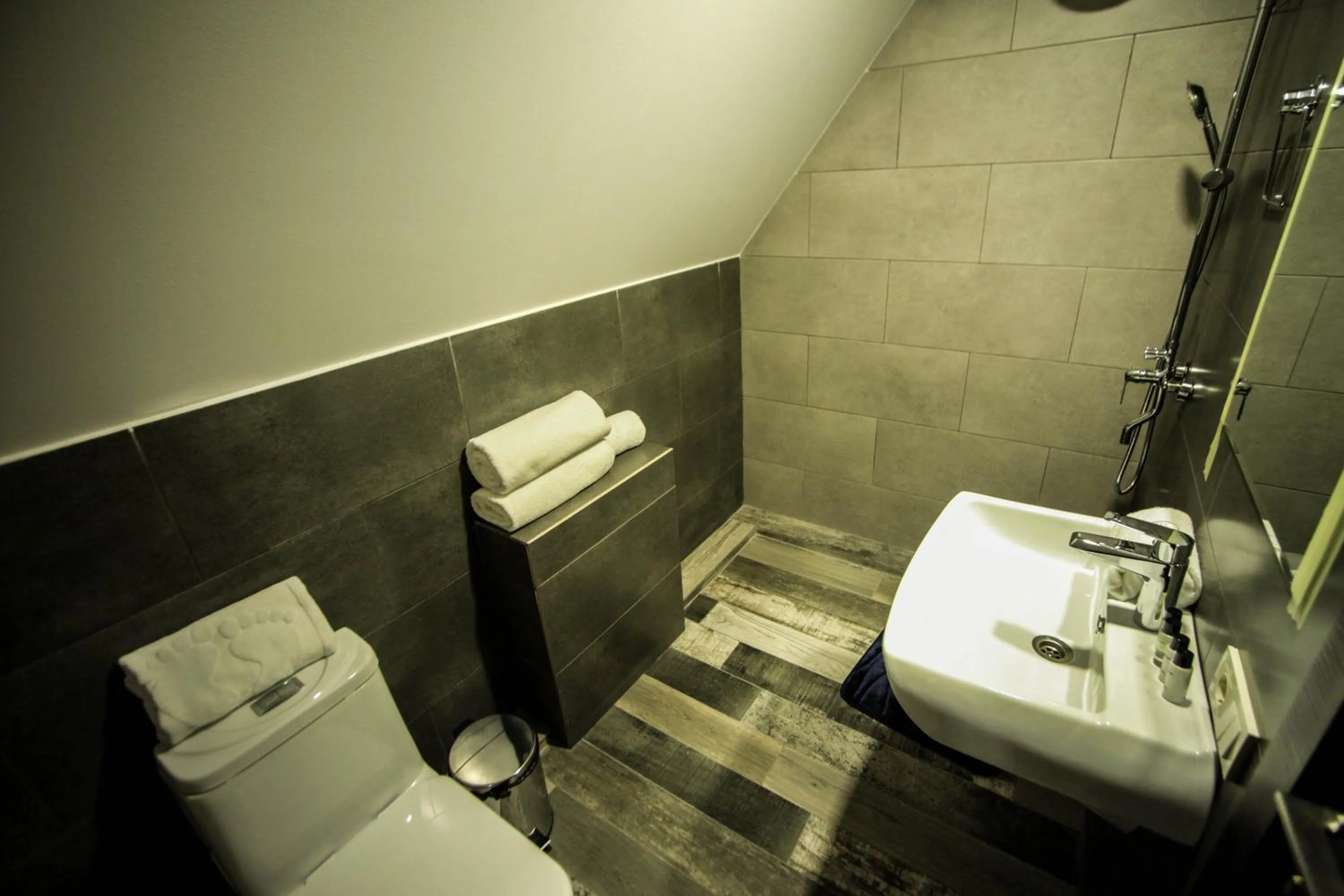 Bathroom in Borjomi UnderWood