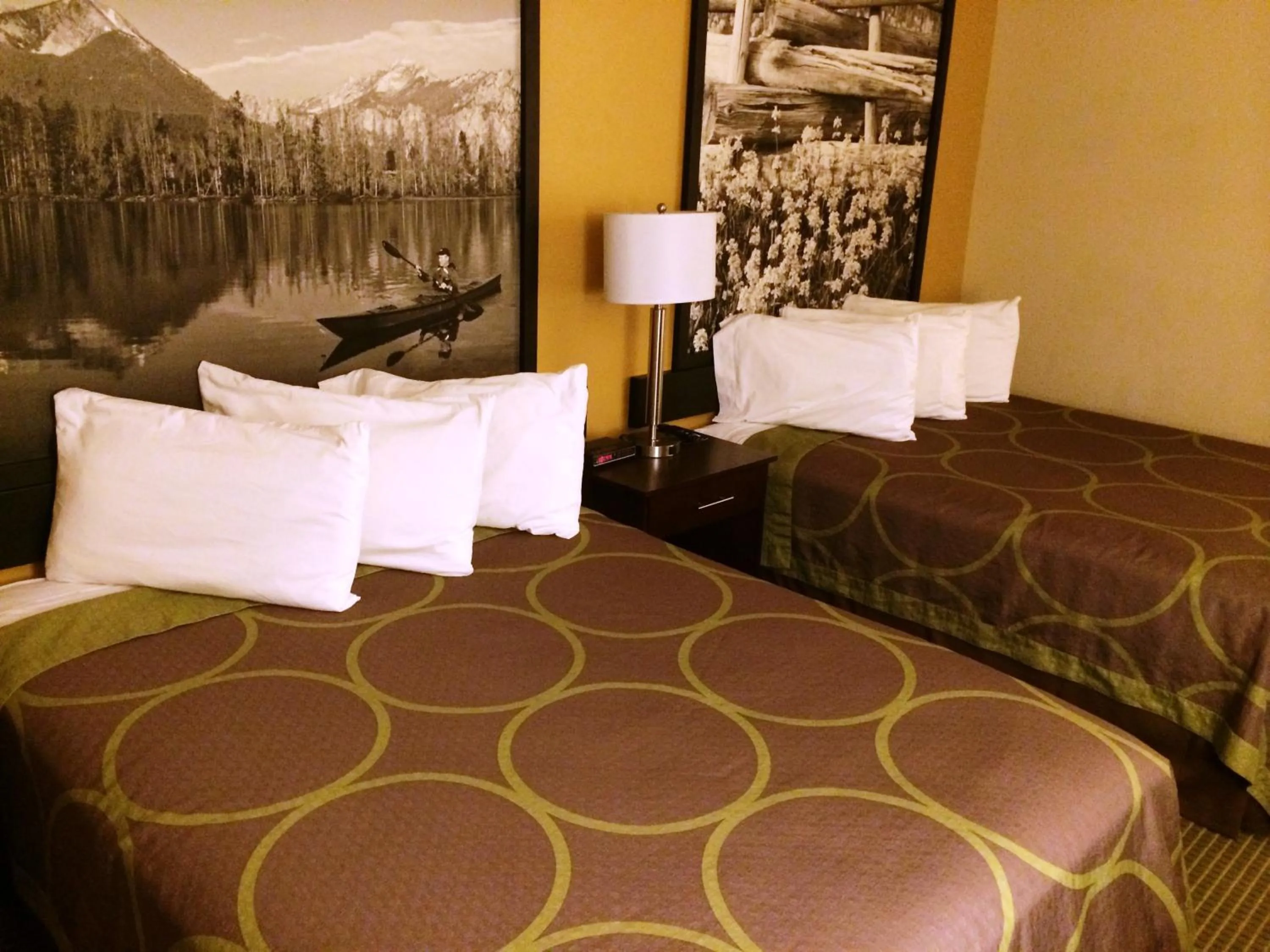 Bed in Super 8 by Wyndham Idaho Falls