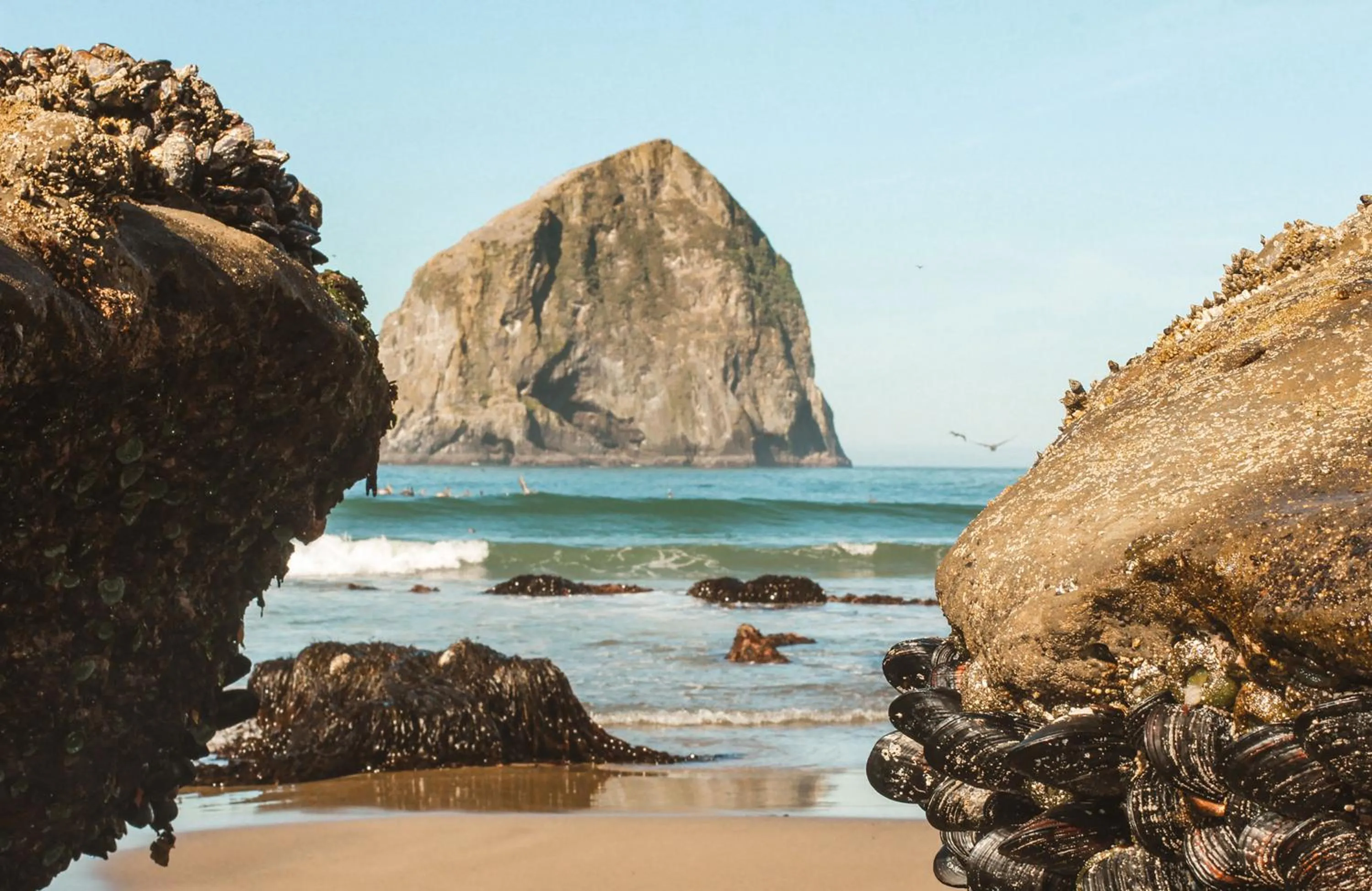 Day in Inn at Cape Kiwanda