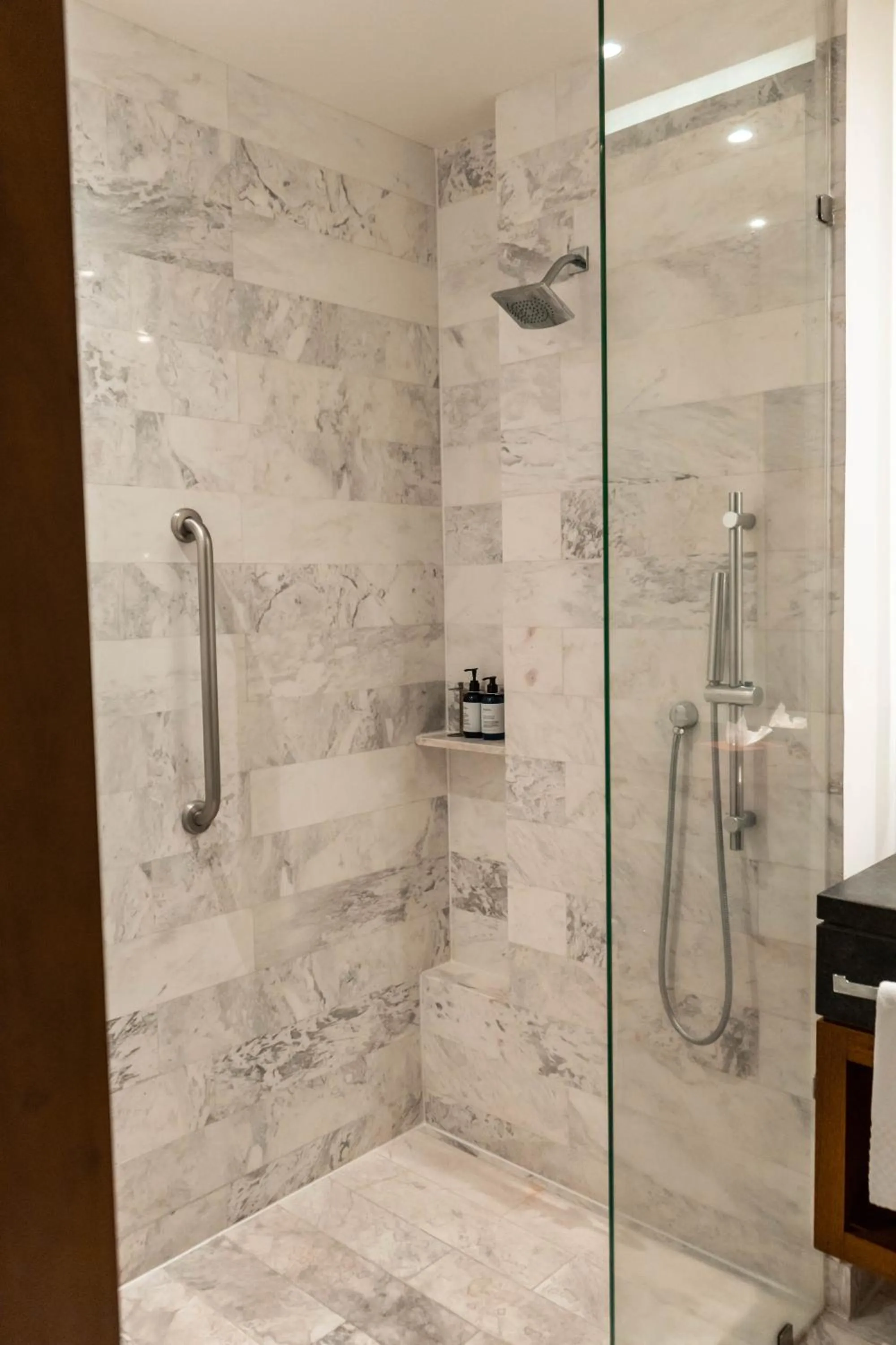 Shower in Doubletree By Hilton Celaya