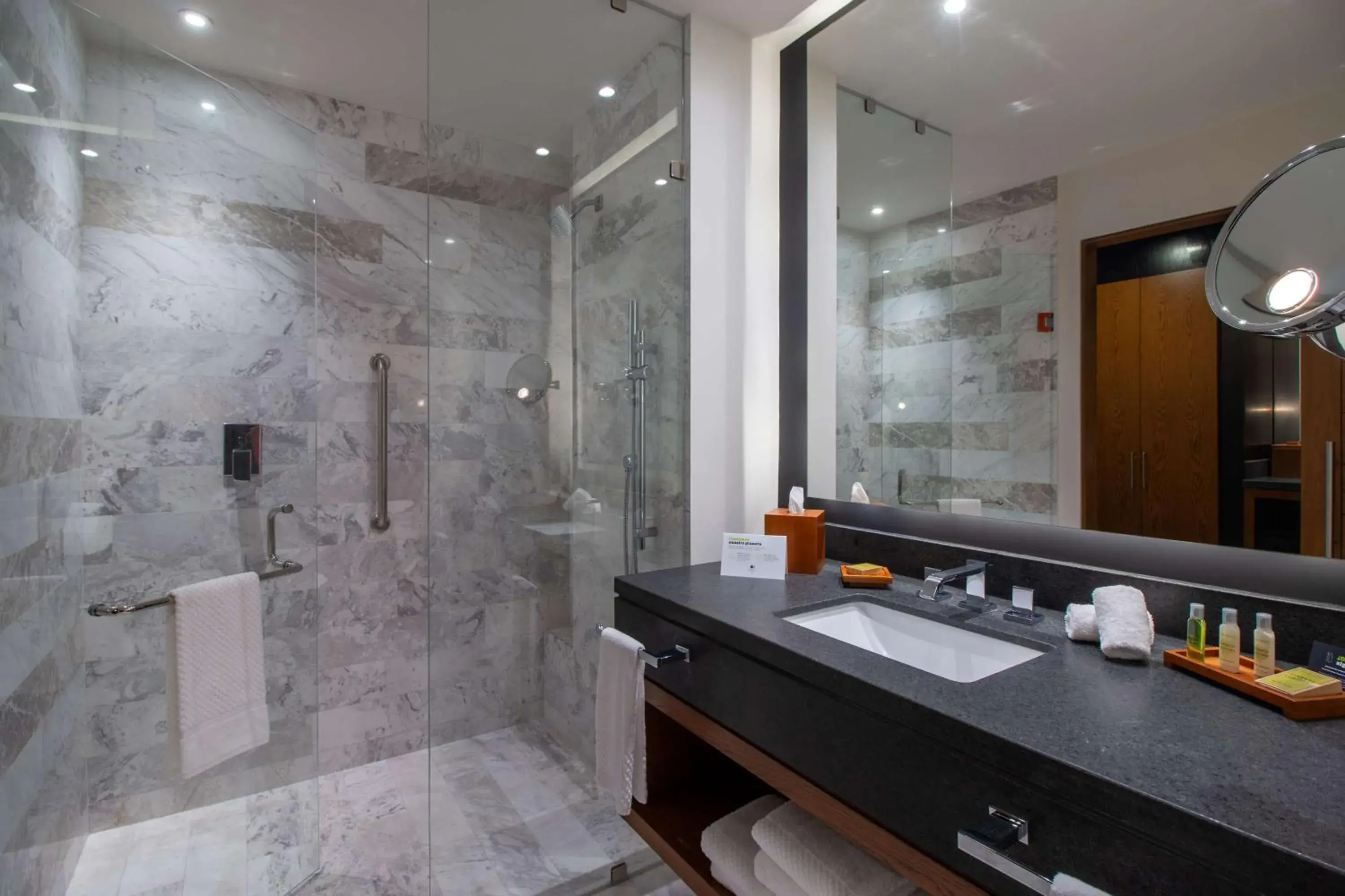Bathroom in Doubletree By Hilton Celaya Bathroom in Doubletree By Hilton Celaya