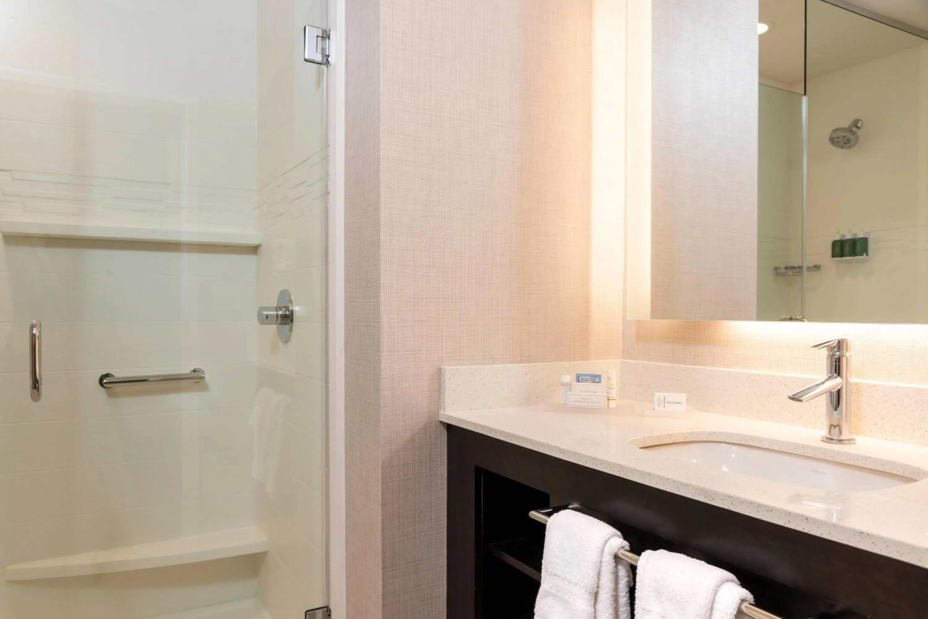 Bathroom in Residence Inn by Marriott Indianapolis South/Greenwood