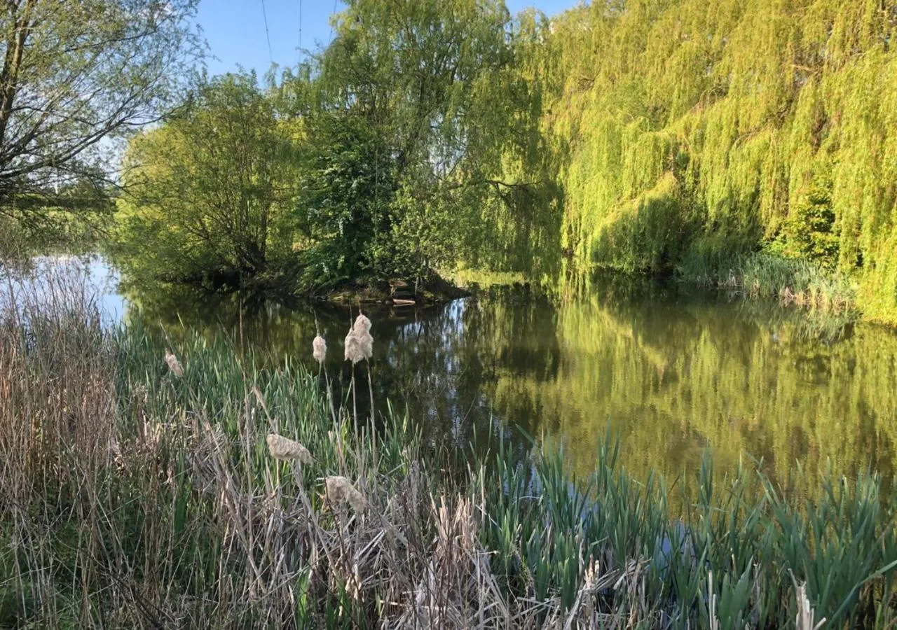 Natural landscape in Loftsome Bridge Hotel