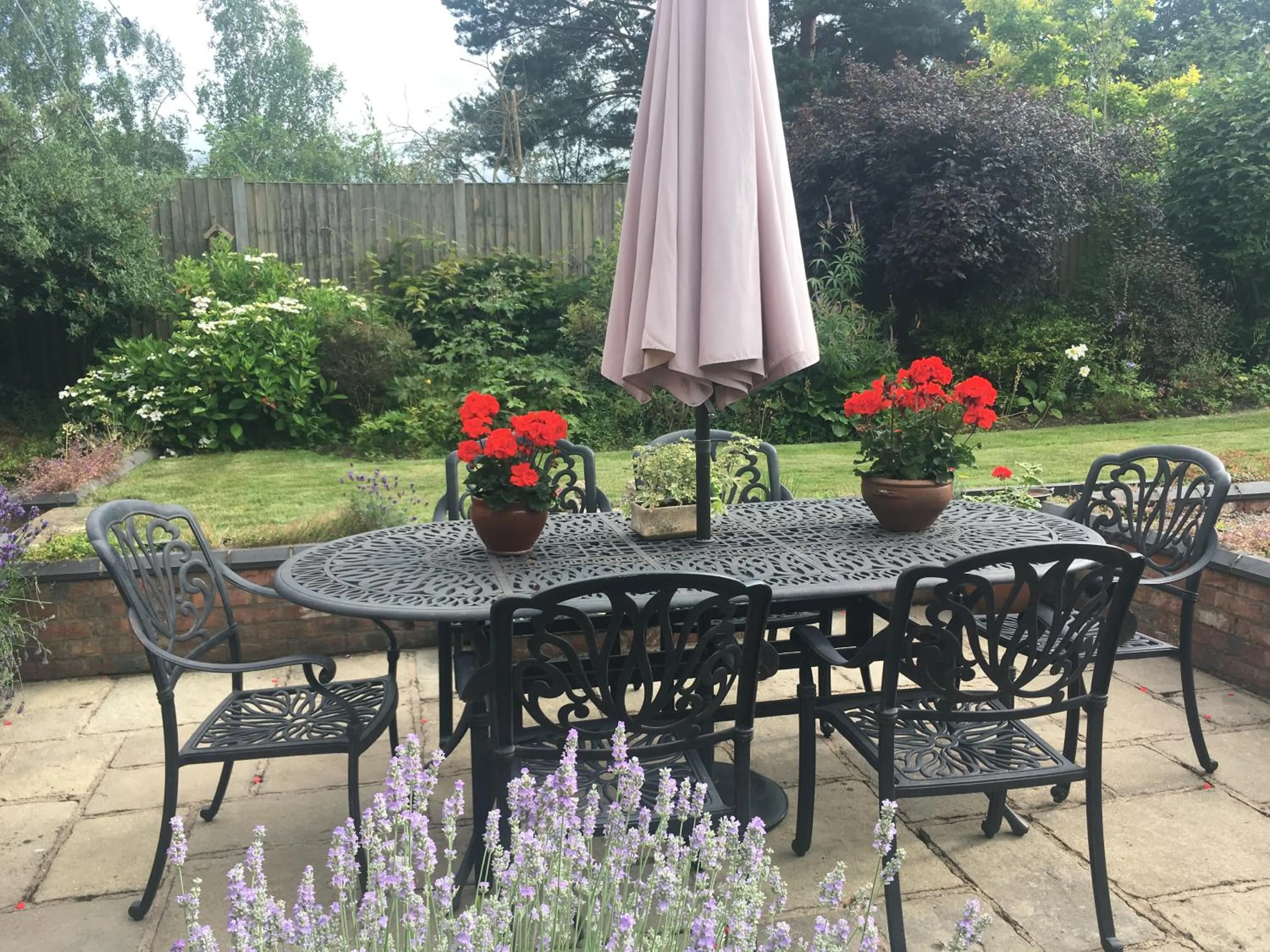 Garden view in Pelham Grove