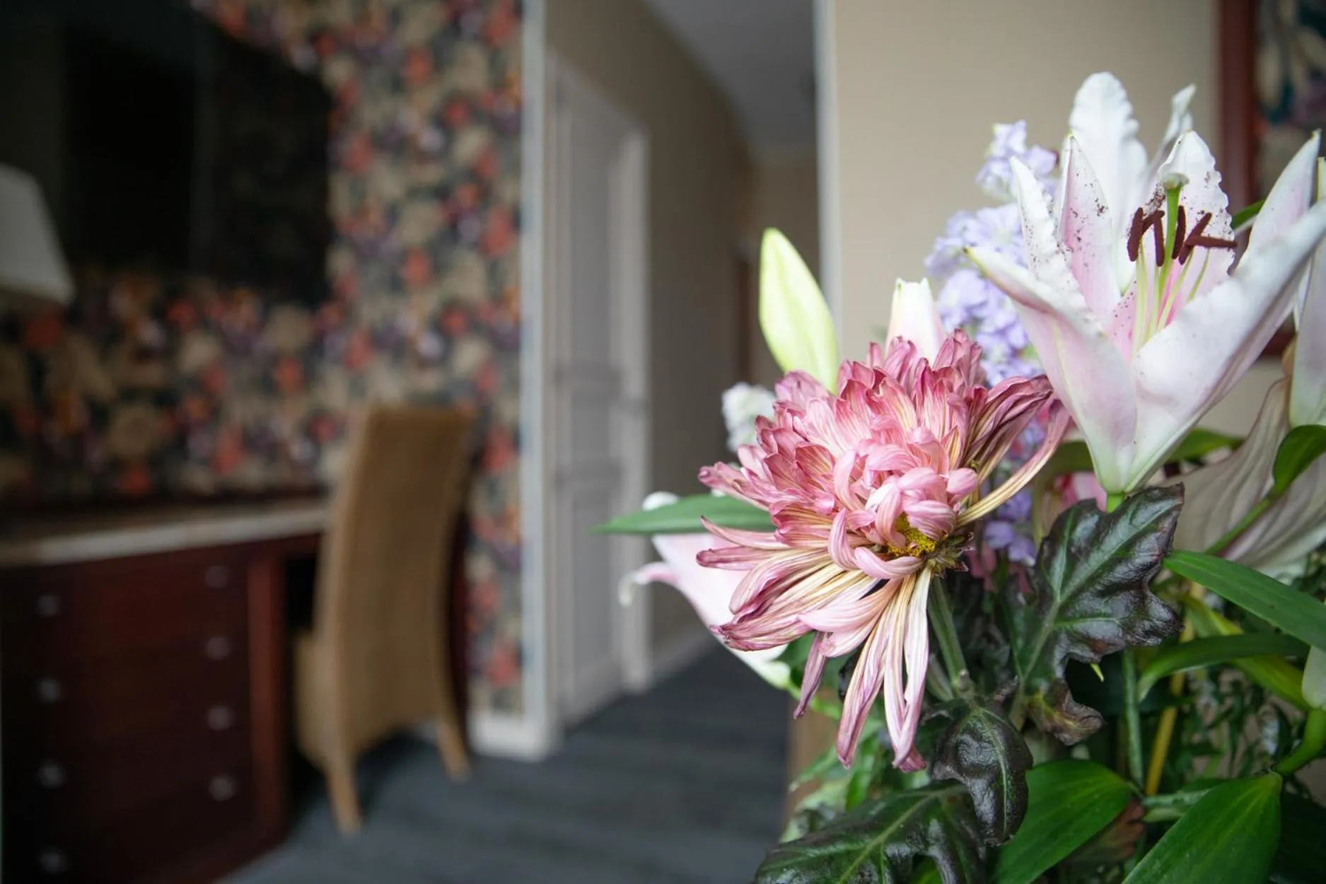 TV and multimedia in Hôtel La Villefromoy