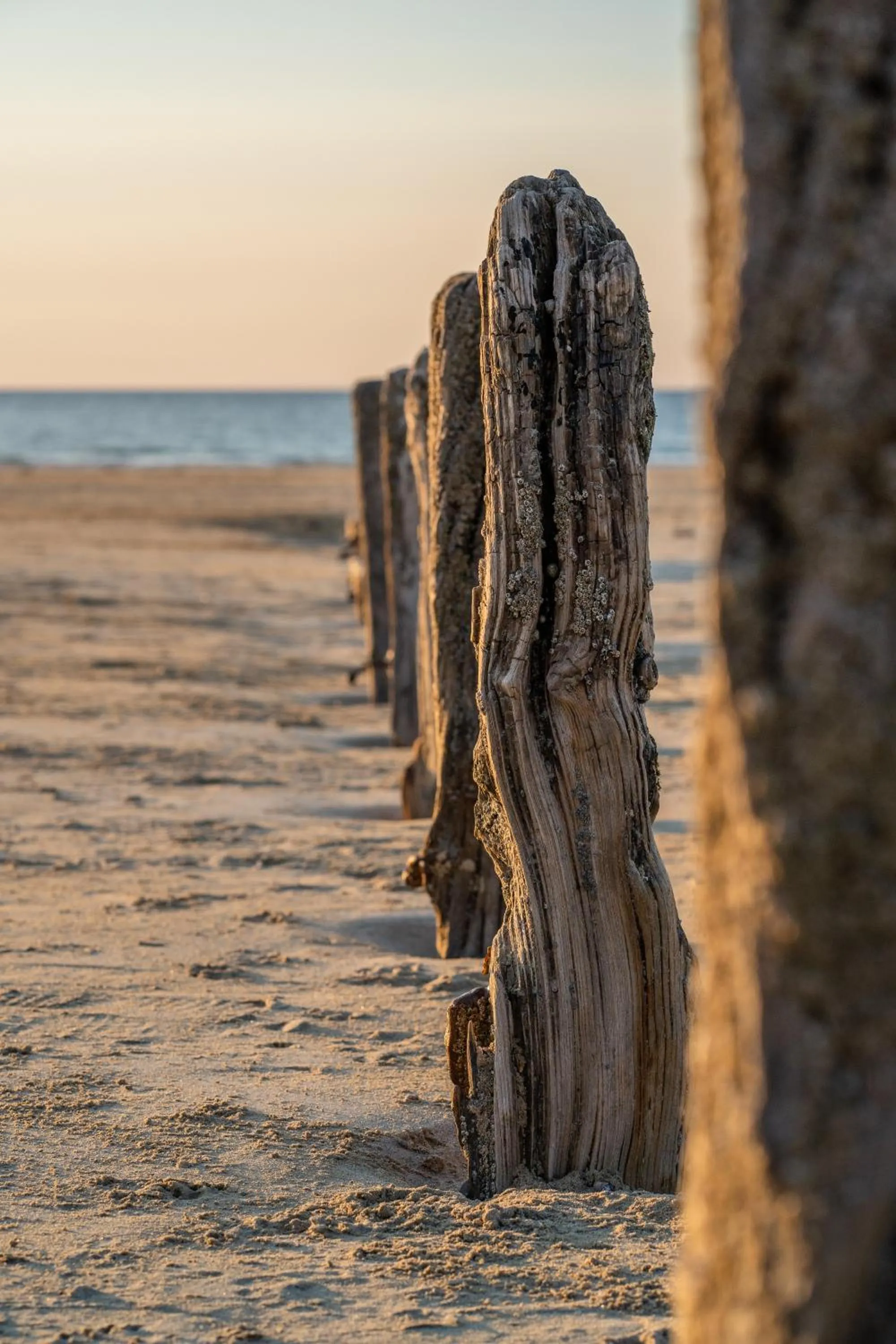 Beach in Hôtel La Villefromoy