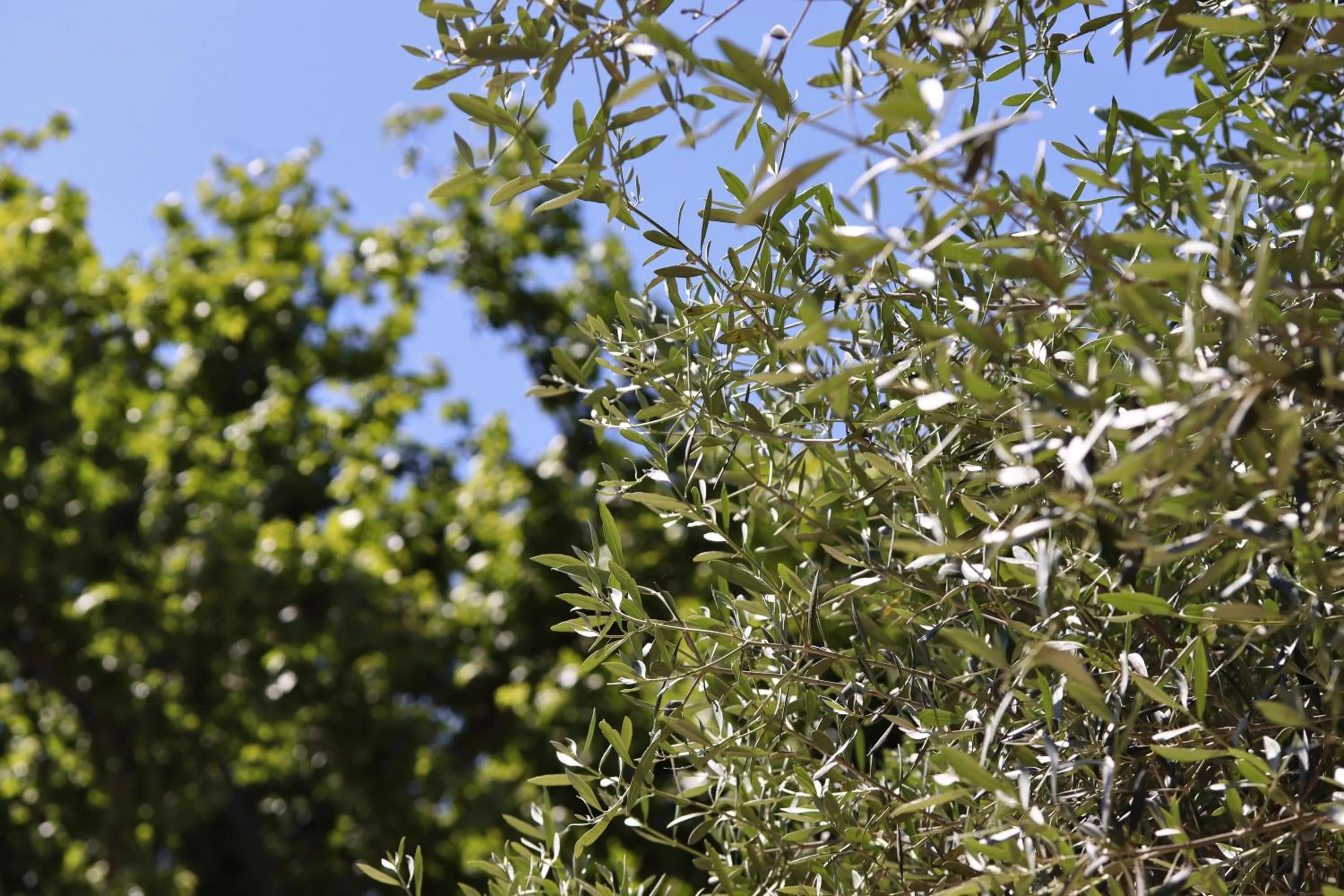 Hôtel Le Pré Galoffre