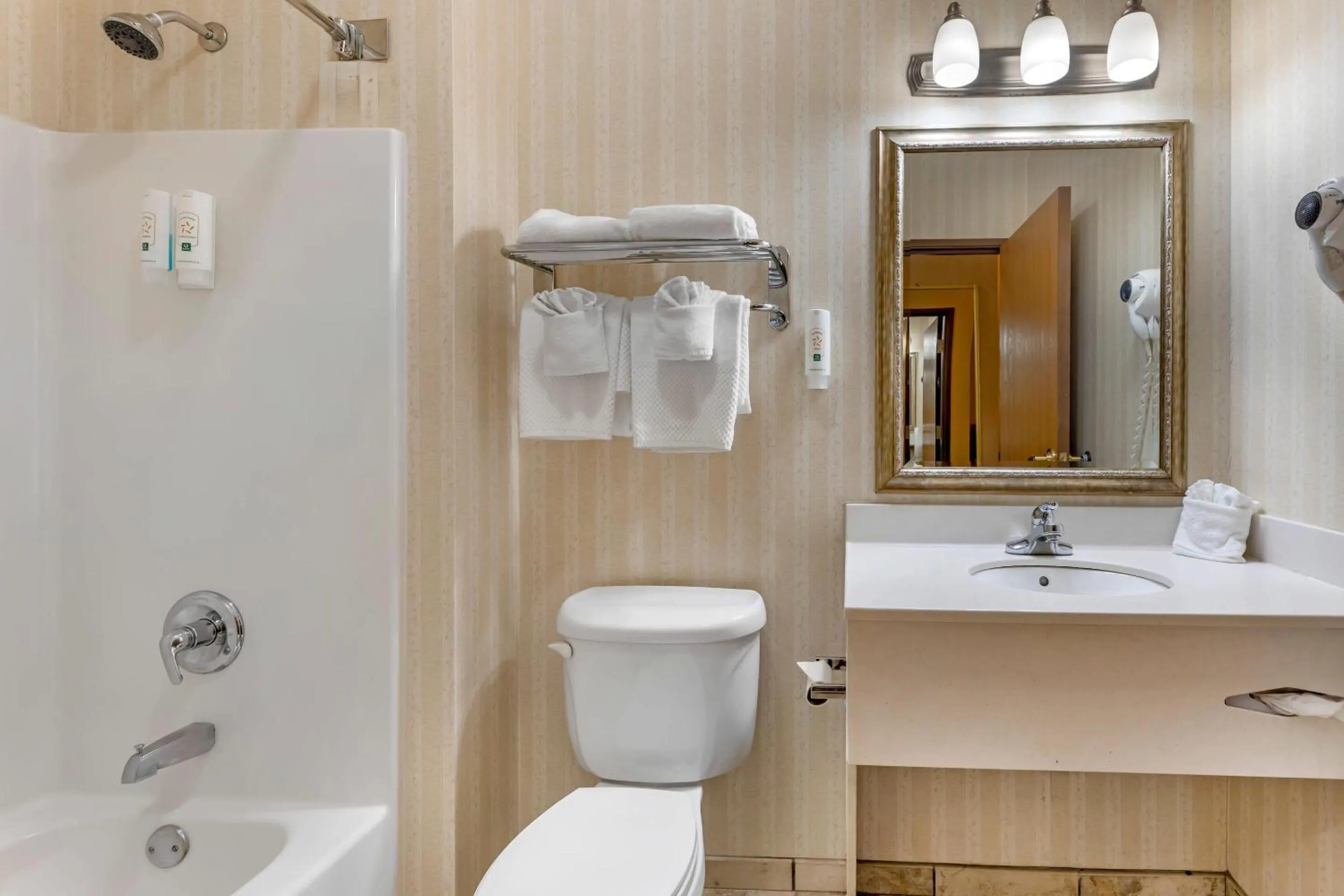 Bedroom in Quality Inn & Suites Wellington - Fort Collins