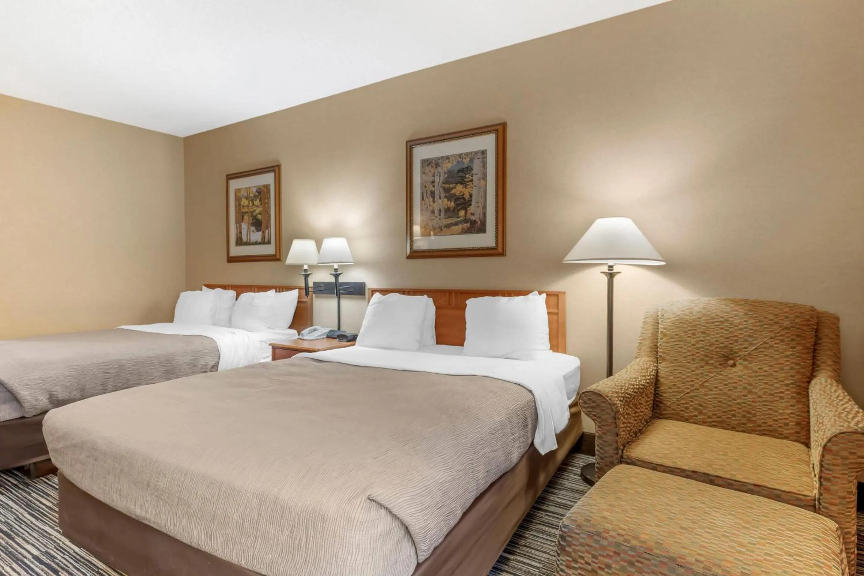 Bedroom, Bed in Quality Inn & Suites Wellington - Fort Collins