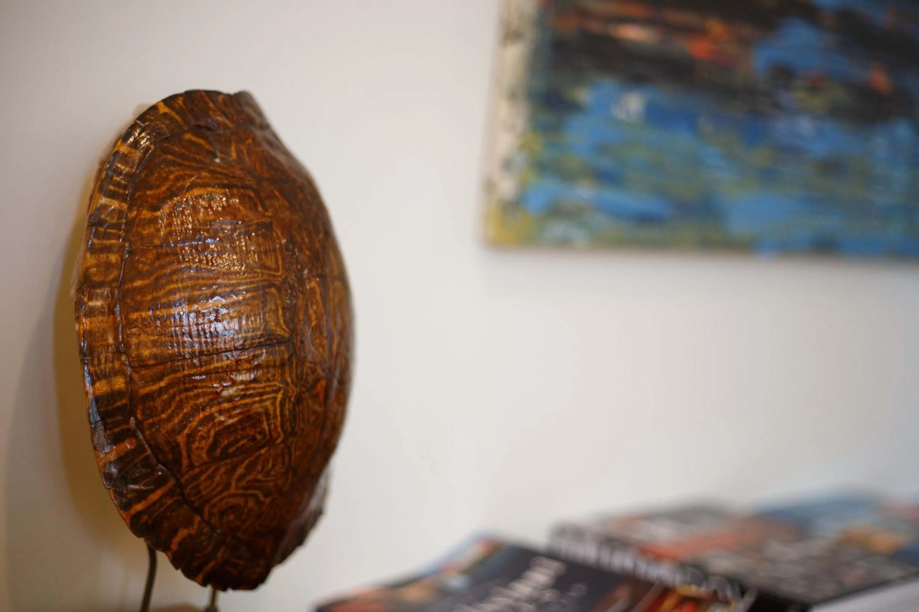 The Lofts at the Five & DIme