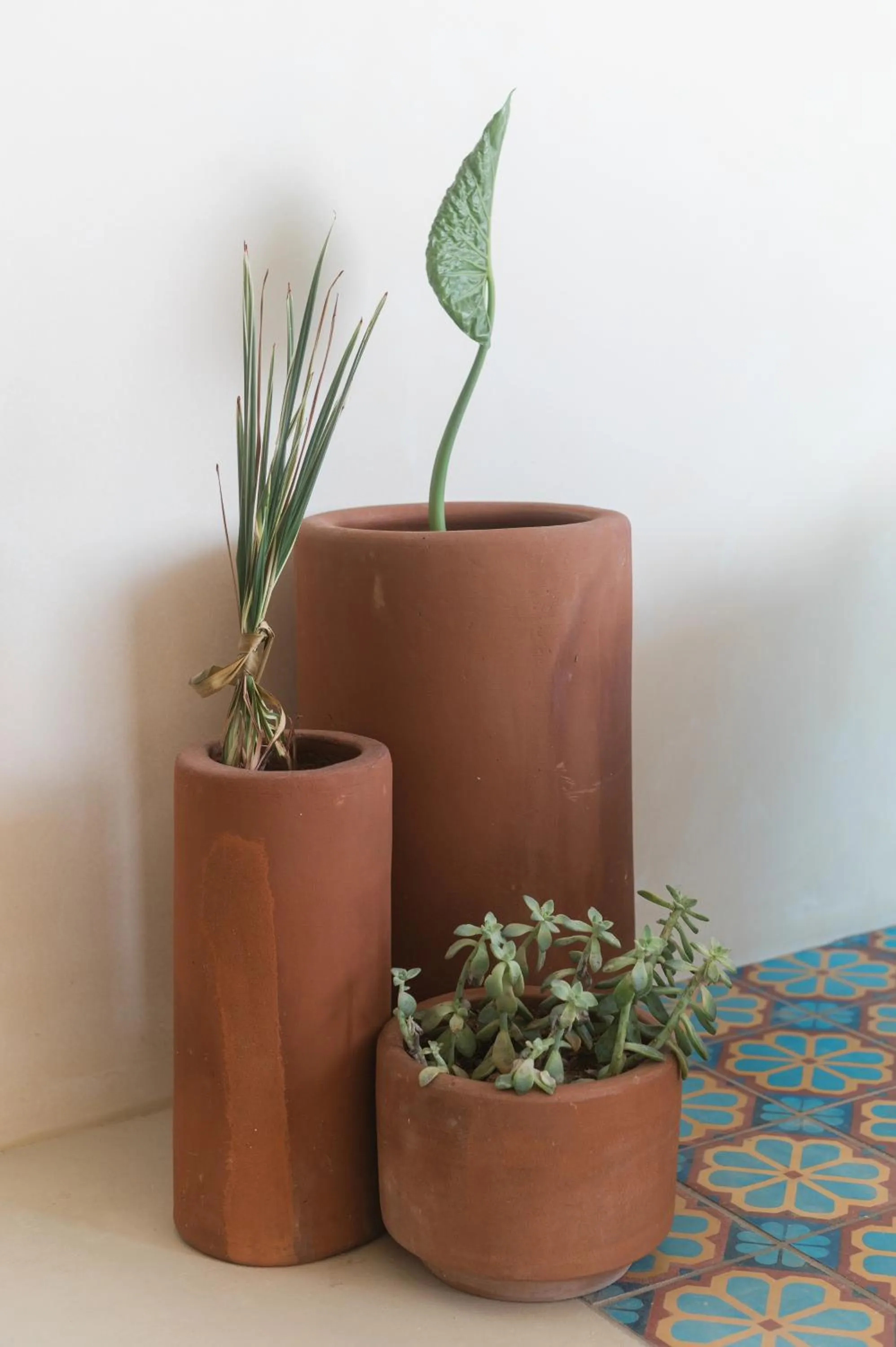 Decorative detail in Native Residence