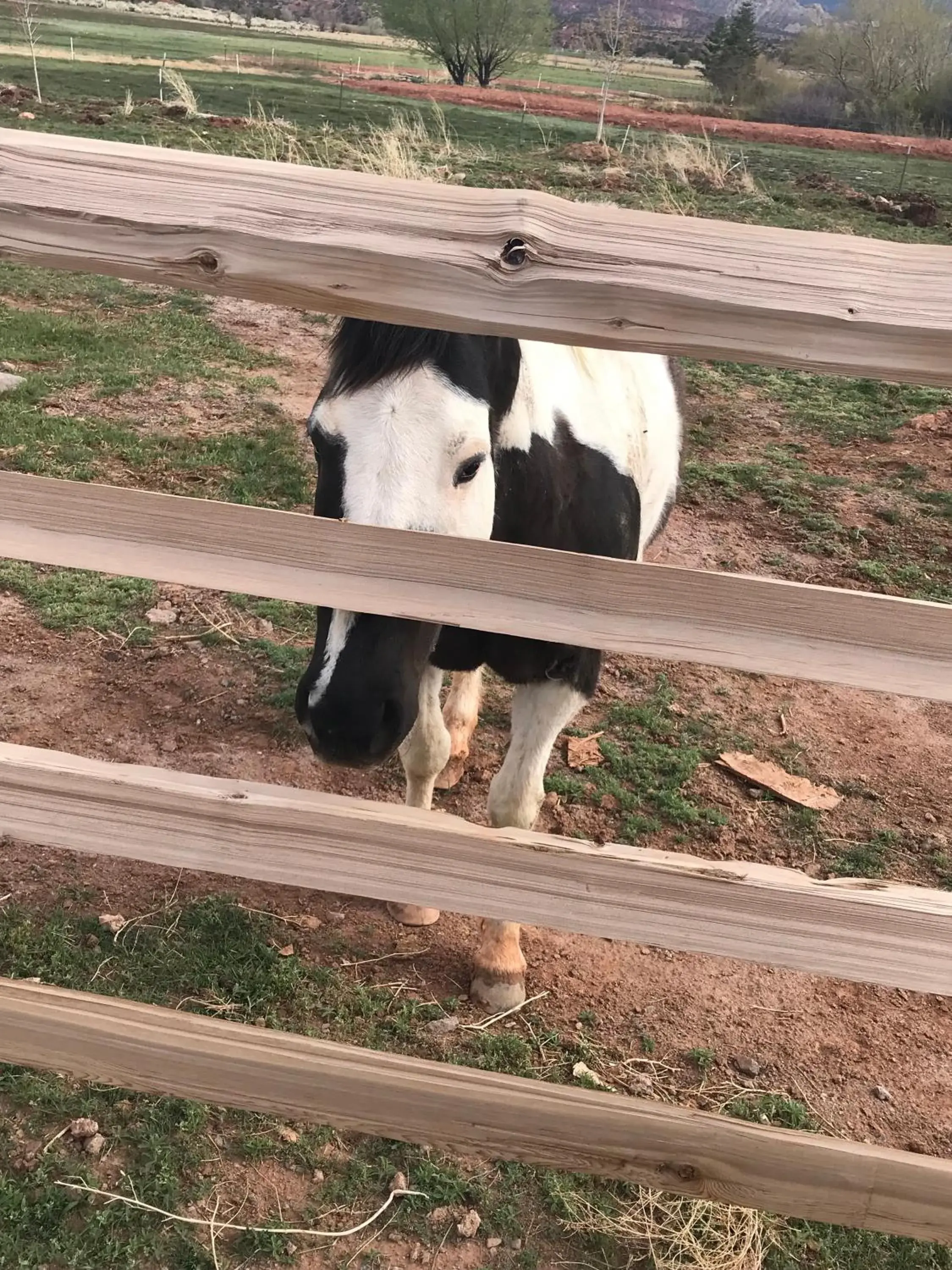 View (from property/room) in Red Sands Hotel View (from property/room) in Red Sands Hotel