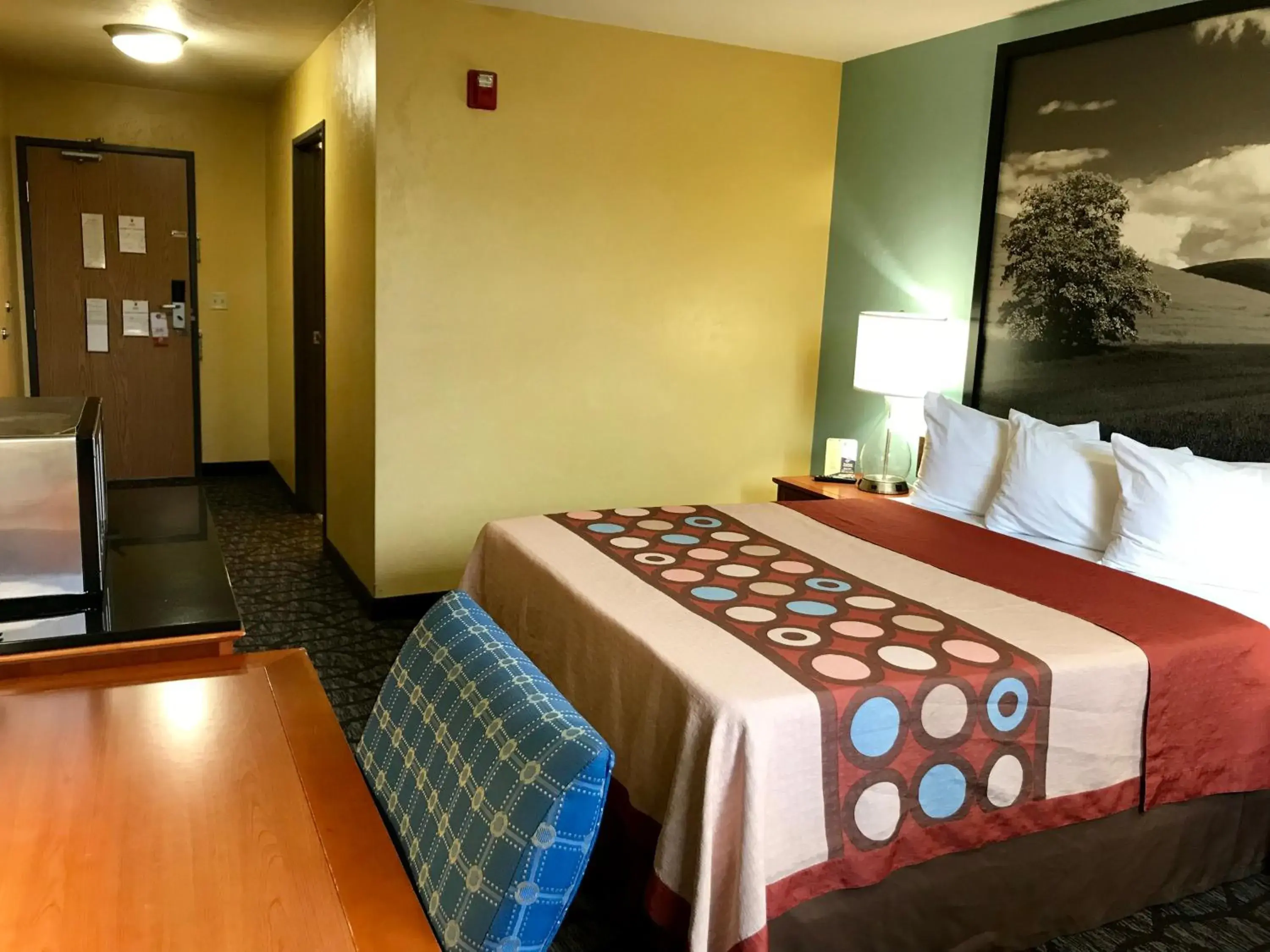 Queen Room - Mobility Access/Non-Smoking in Super 8 by Wyndham Union Gap Yakima Area Queen Room - Mobility Access/Non-Smoking in Super 8 by Wyndham Union Gap Yakima Area