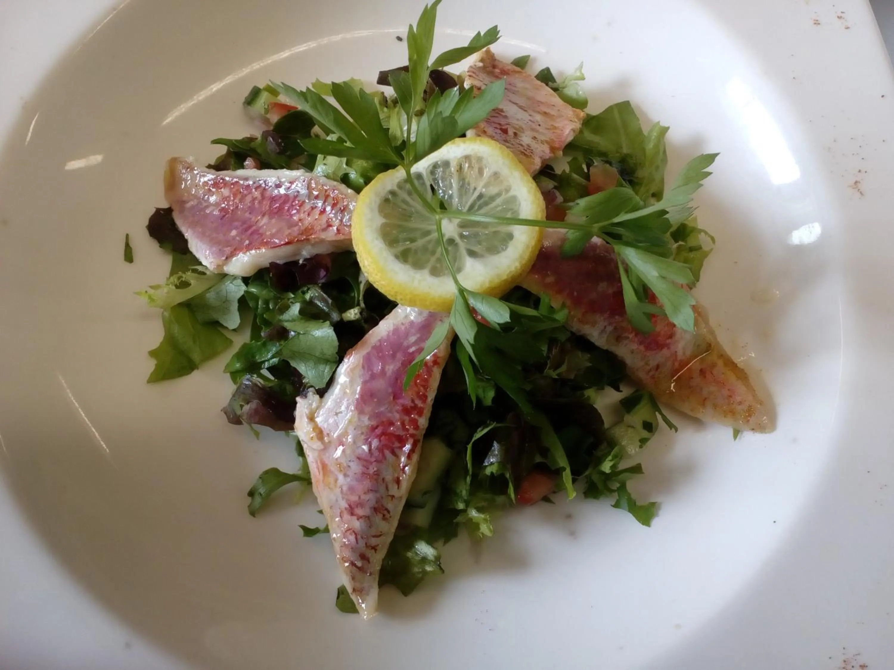 Restaurant/places to eat in Le Galion Hotel et Restaurant Canet Plage - Logis