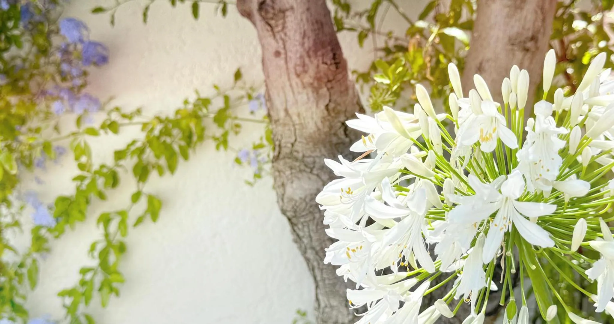 Spring in Blanc Sable Hôtel