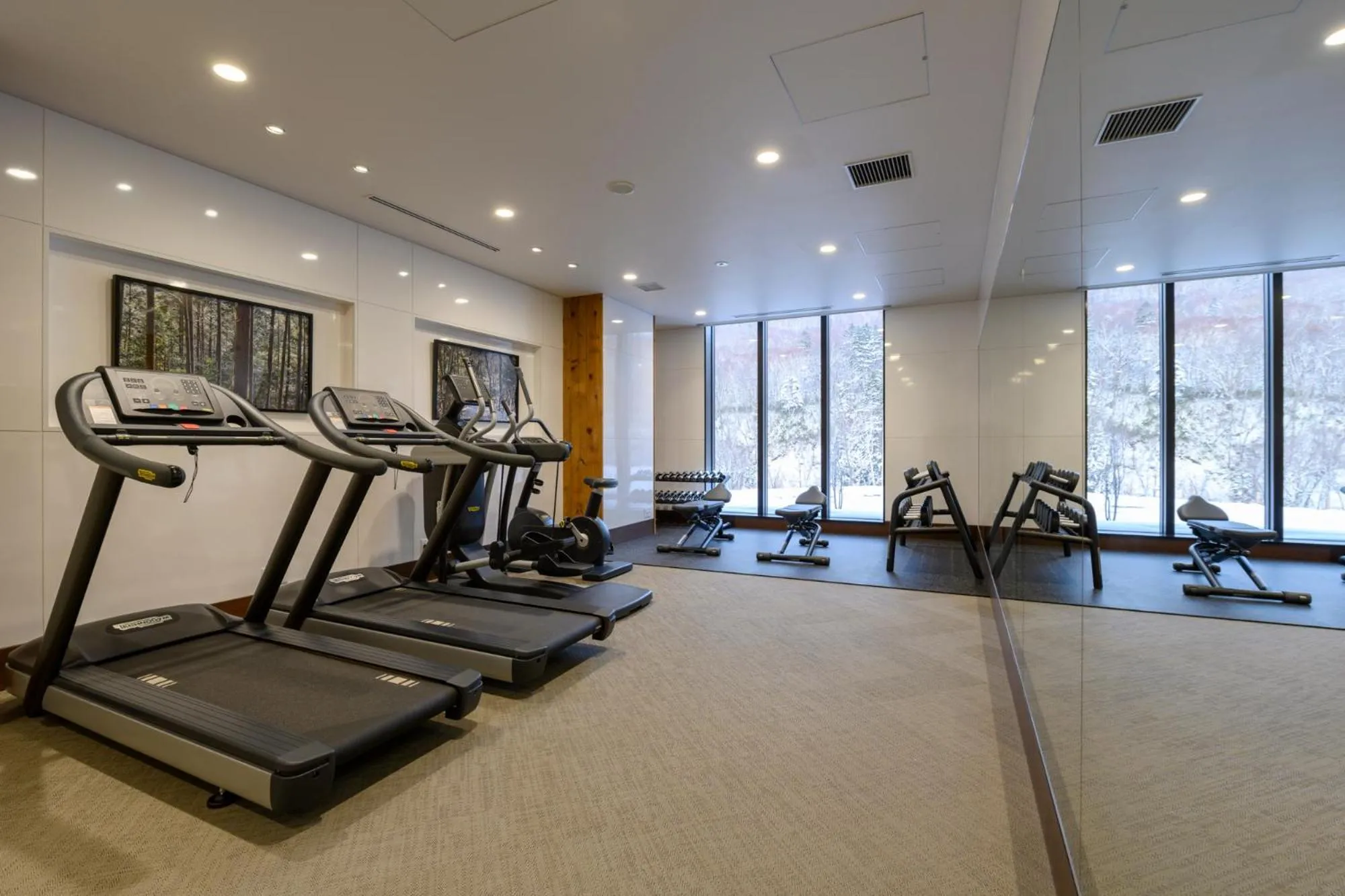 Fitness centre/facilities in Yu Kiroro, Ski-in Ski-out Luxury Residences