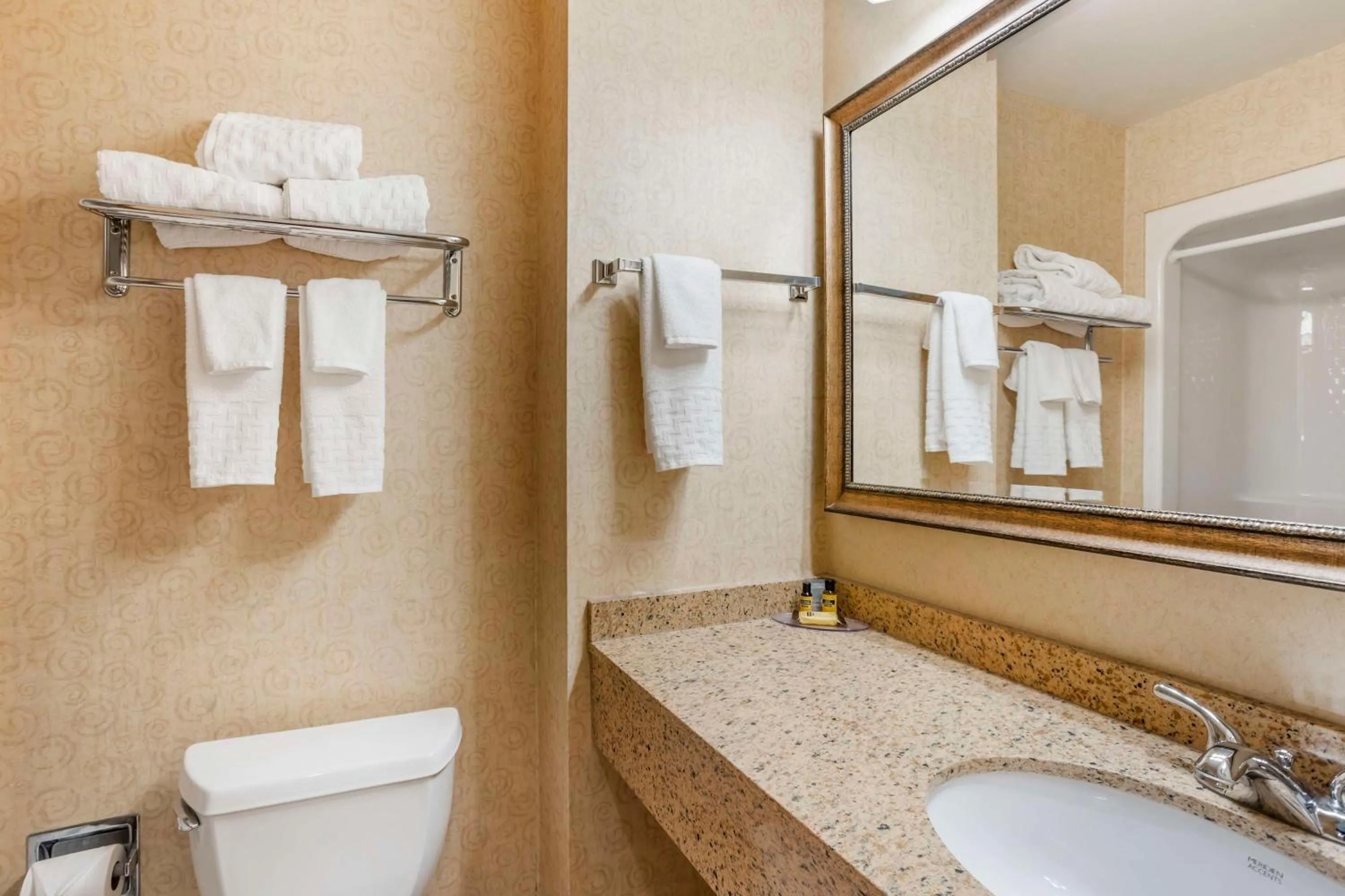 Bathroom in Best Western PLUS Revere Inn & Suites