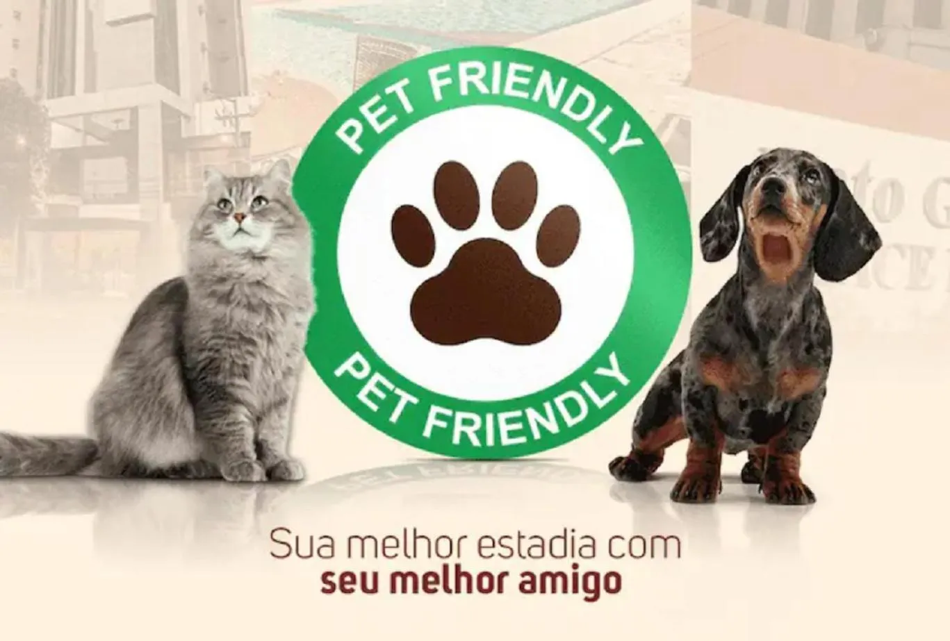 Pets in AAA Ana Albufeira Apartments