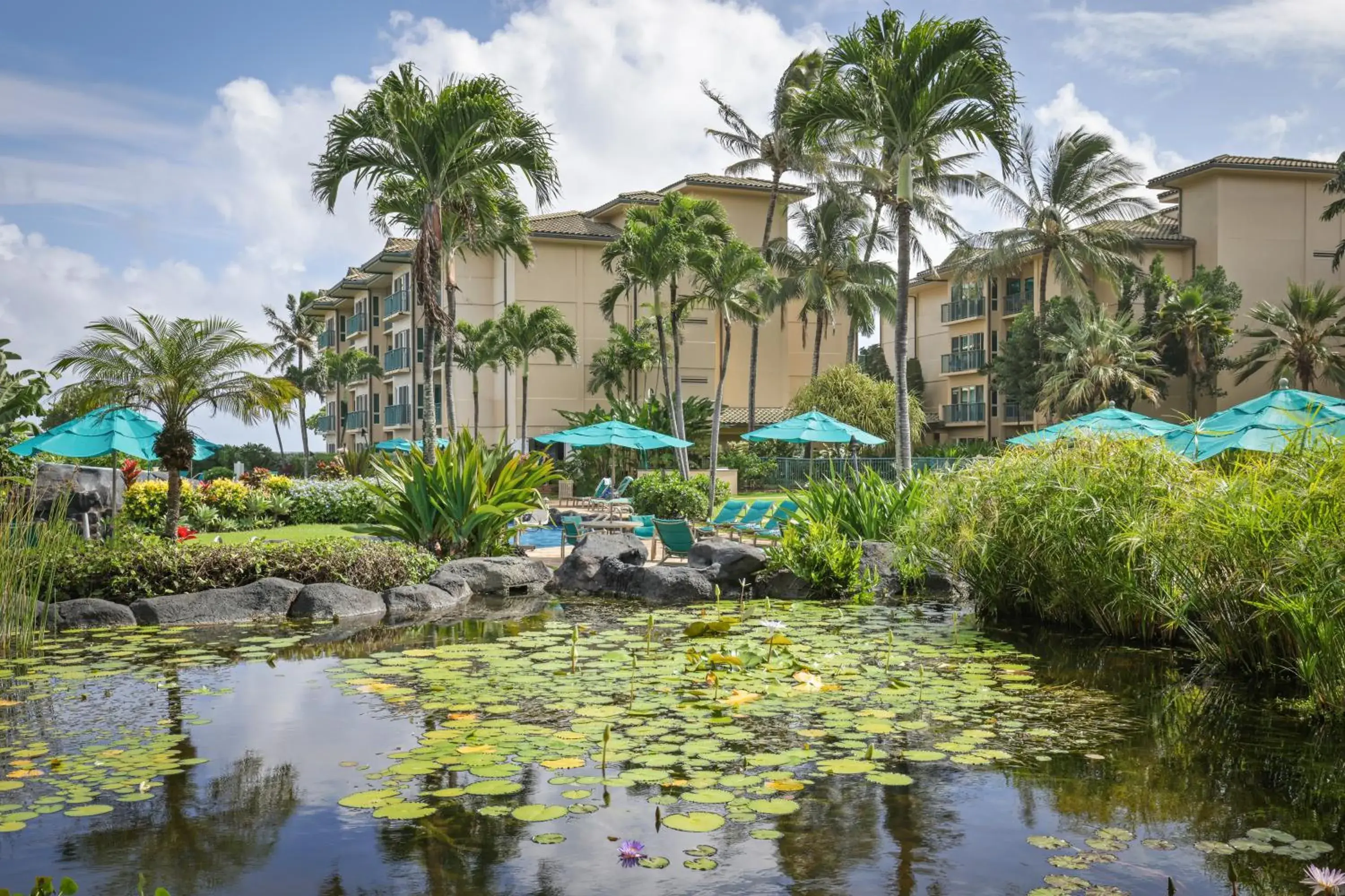 Garden view in Waipouli Beach Resort and Spa Kauai by OUTRIGGER Garden view in Waipouli Beach Resort and Spa Kauai by OUTRIGGER