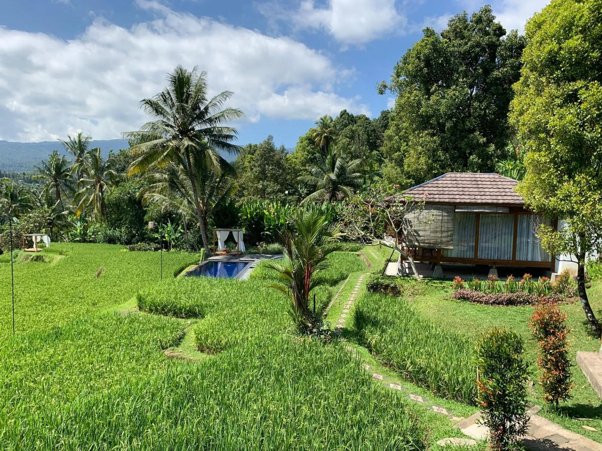 Garden in Bali De Pardis Cottage