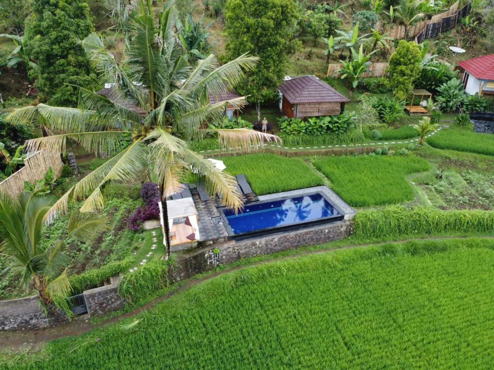 Bird's eye view in Bali De Pardis Cottage