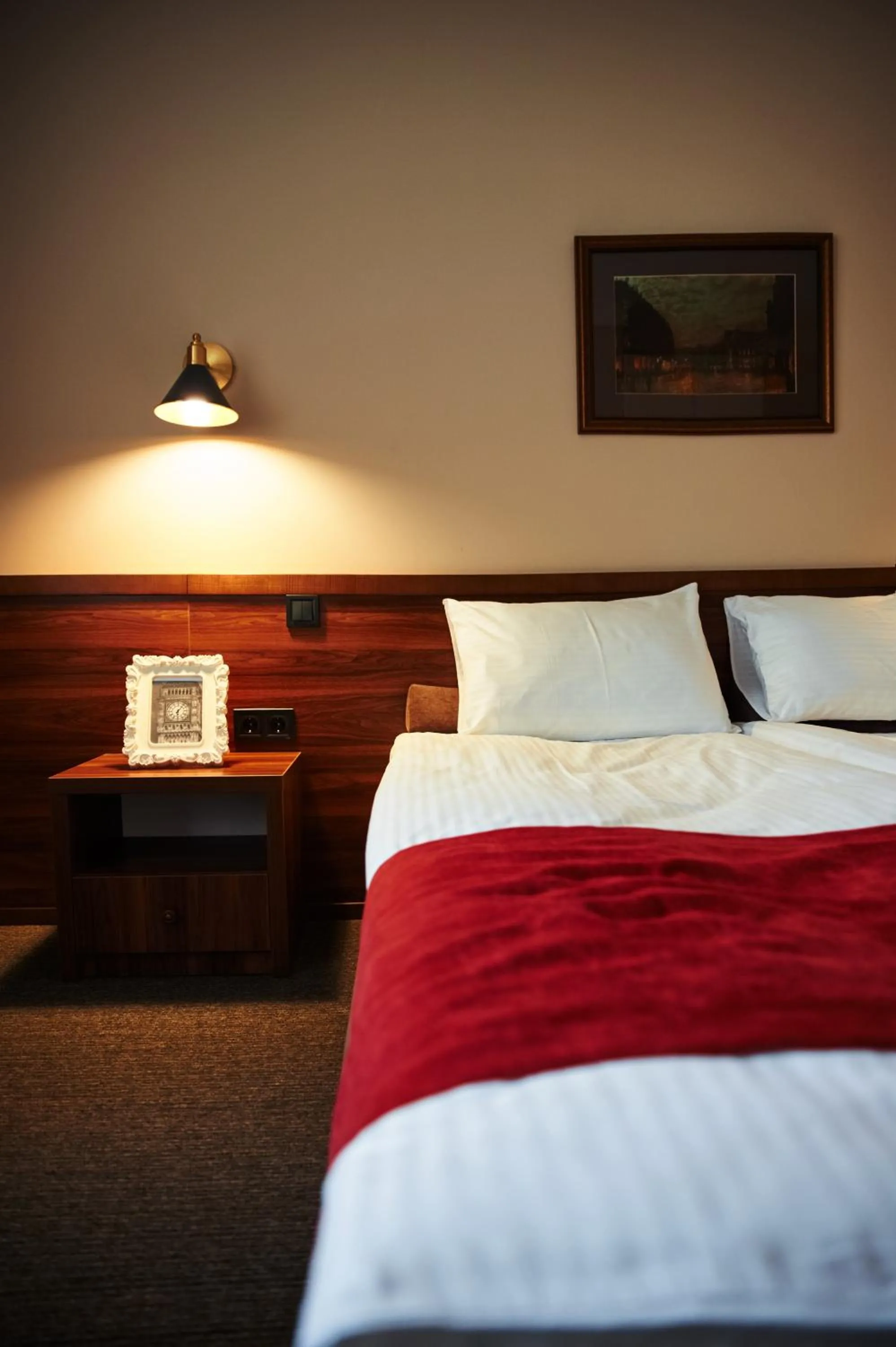 Standard Double Room - single occupancy in Sherlock Holmes Boutique Hotel