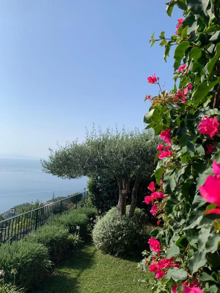 Villa Gelsomina