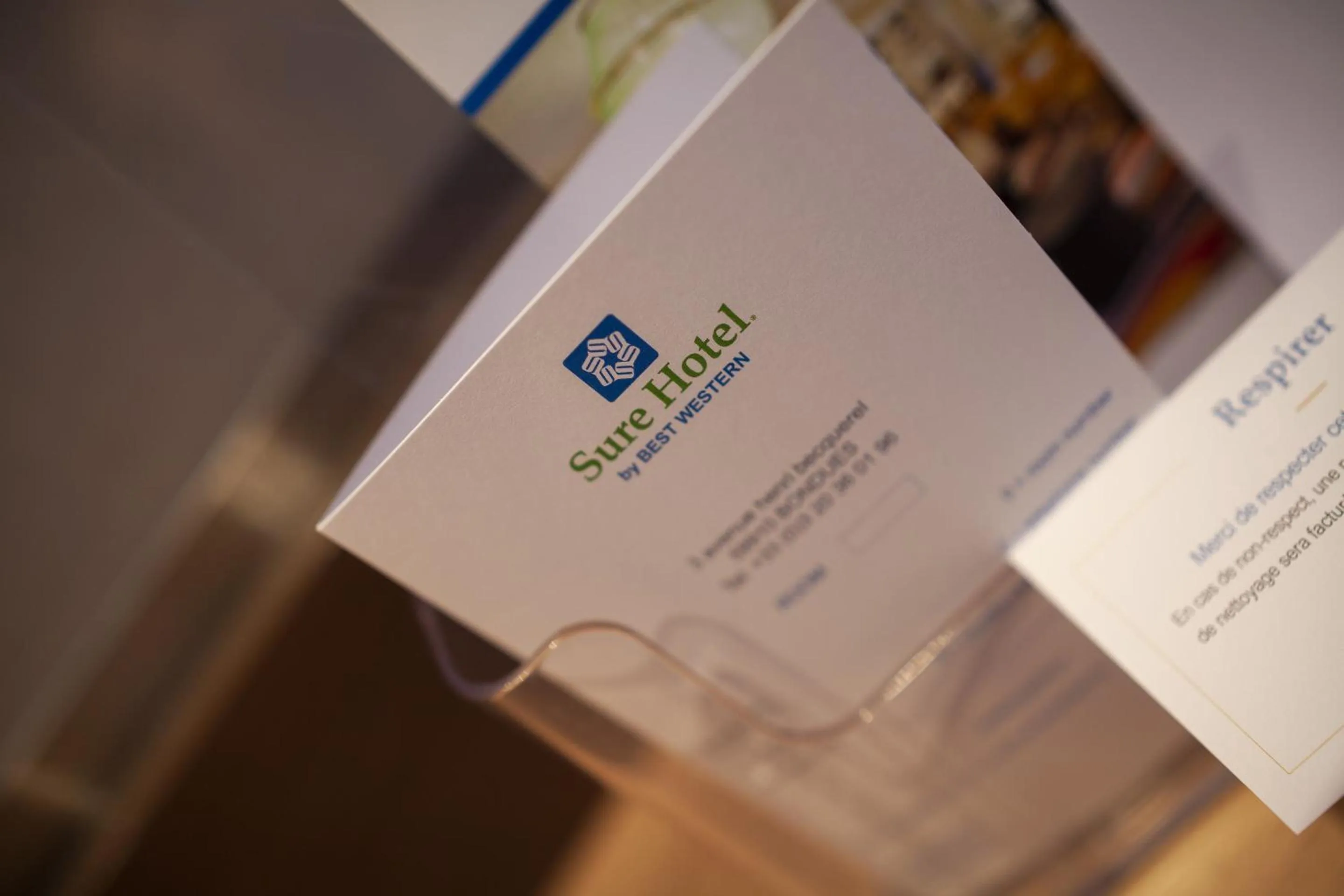 Decorative detail in Sure Hotel by Best Western Lille Tourcoing Ex Hotel Garden