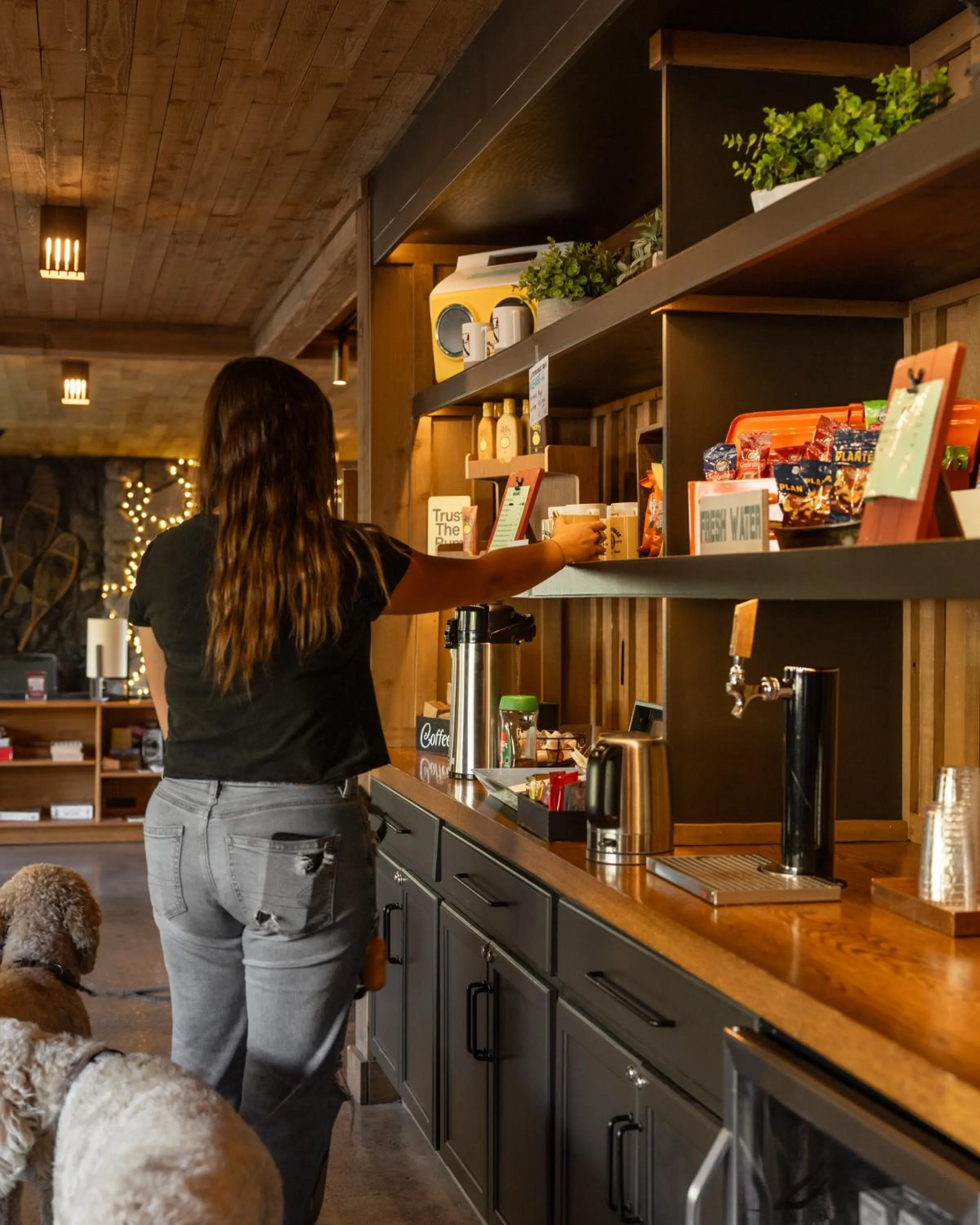 Lobby or reception in Station House Inn South Lake Tahoe