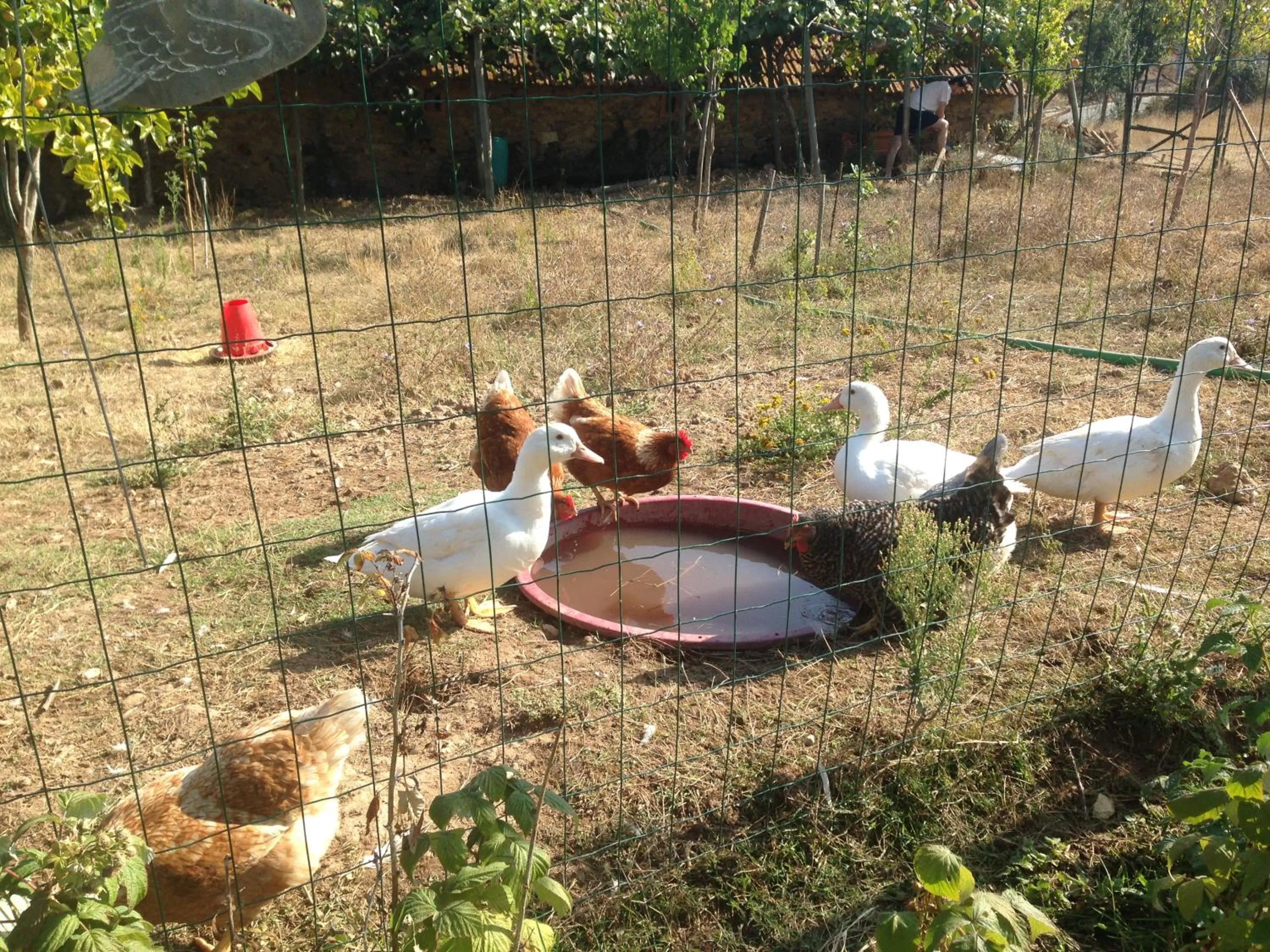 Nature et al House - Casa para uso exclusivo e jardim - Little farm