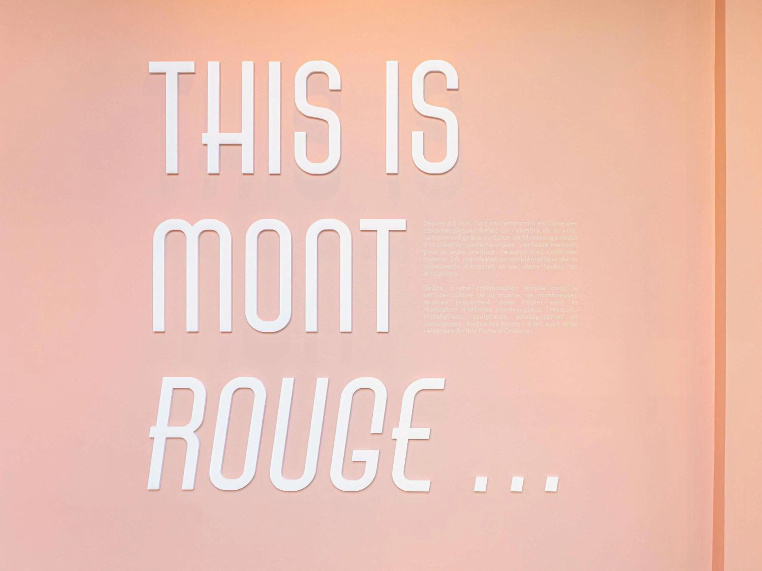 Other in ibis Styles Paris Porte d'Orléans