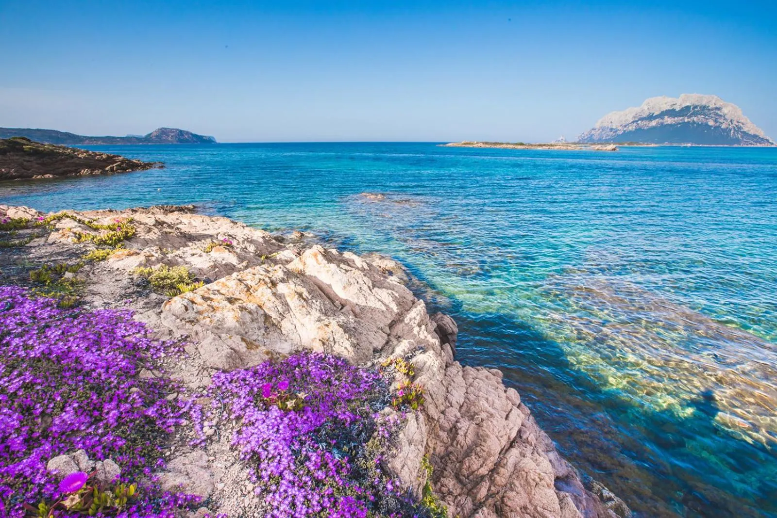 Natural landscape in Hotel il Faro di Molara