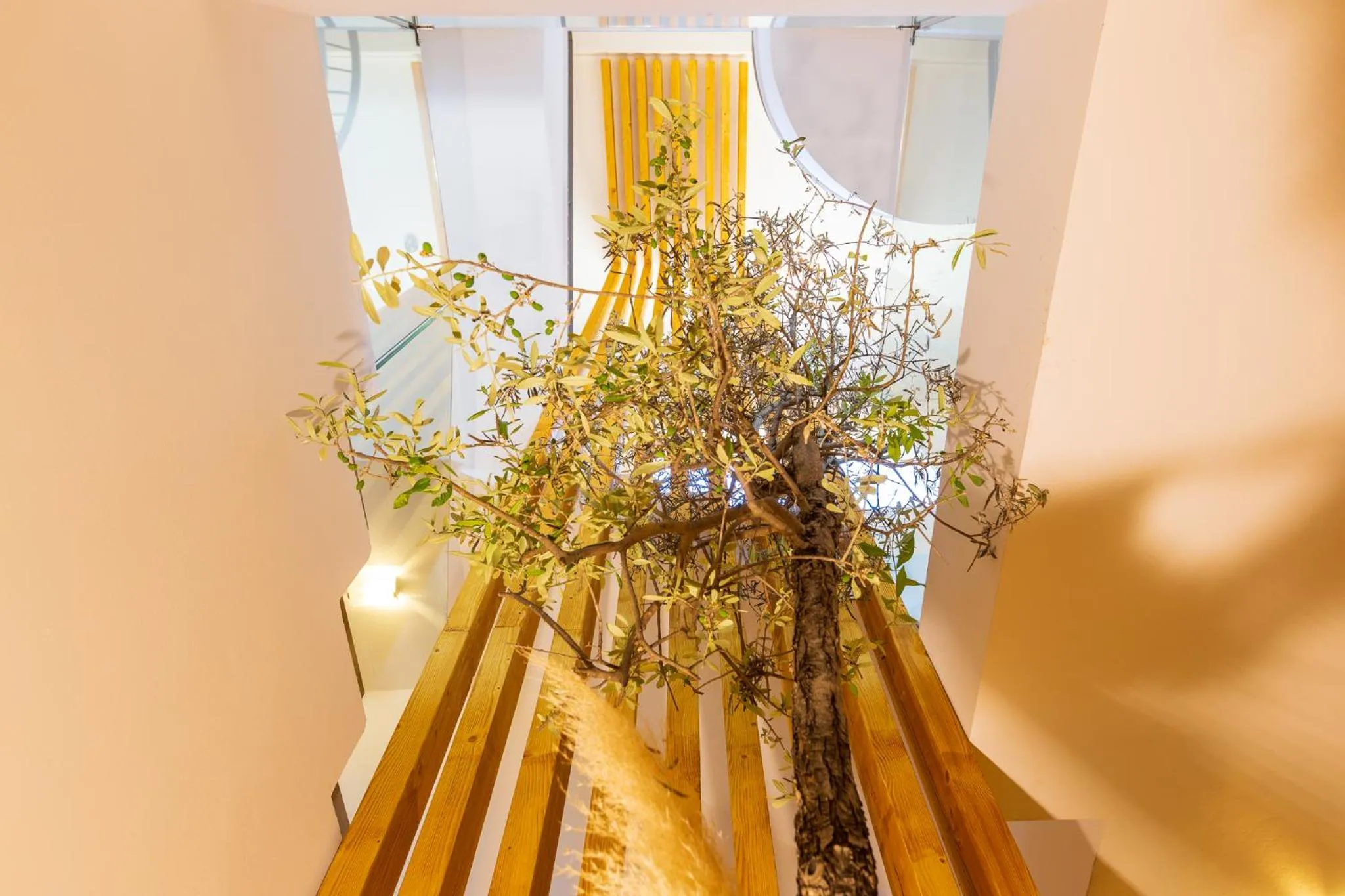 Living room in 180 South Seaside Hotel