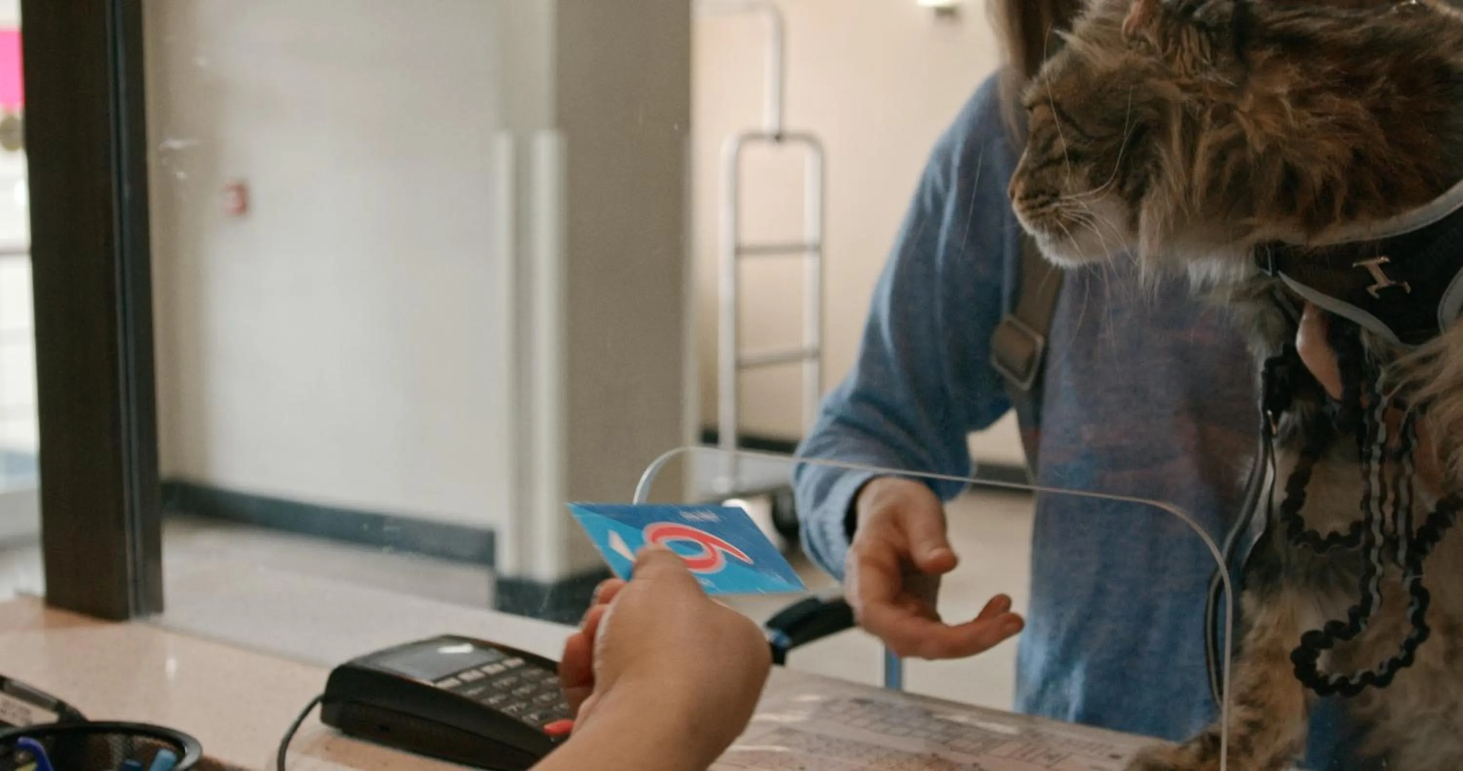 Pets in Motel 6-Greenville, SC - I-85 Near Downtown