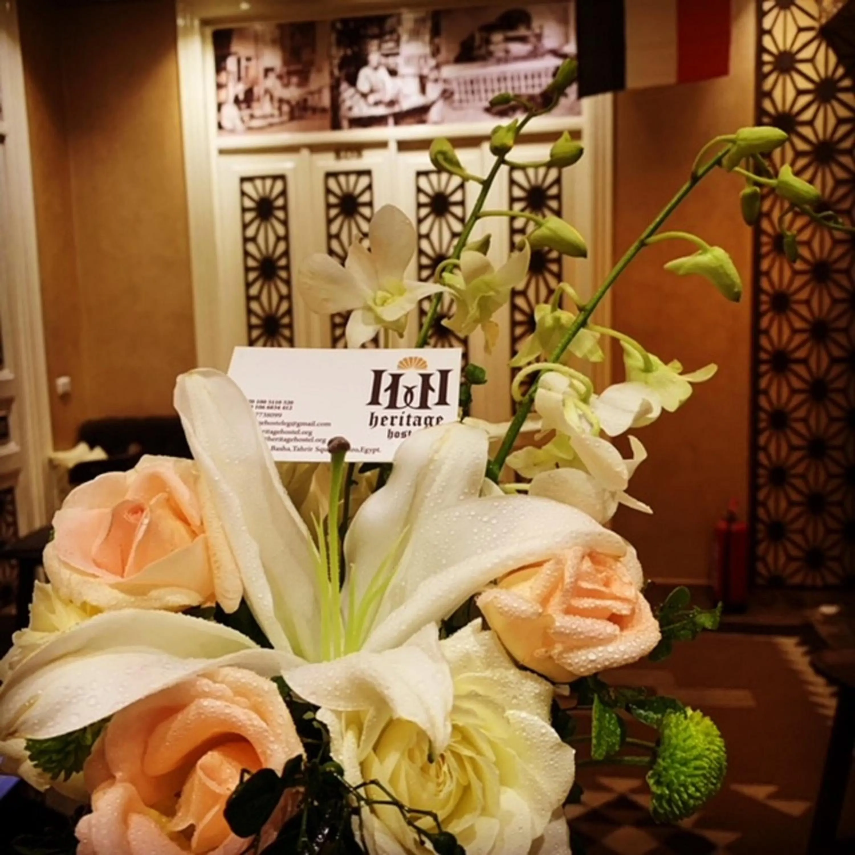 Lounge or bar in Heritage Hostel Cairo